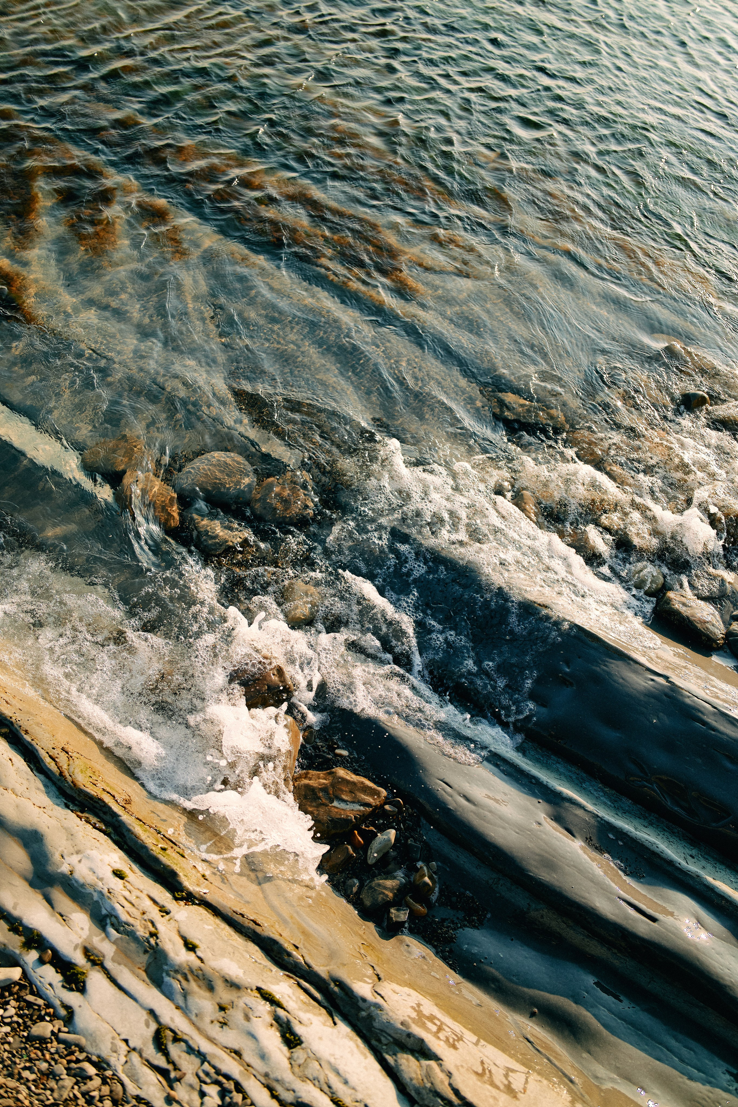Юг России. Профессиональный Фотограф во Владимире, в Москве и в Суздале — Полина Романычева