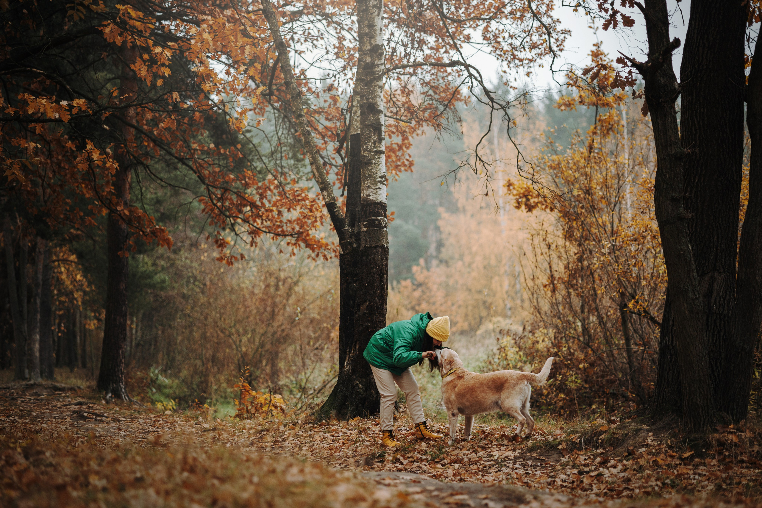 Оксана и Барон. Фотограф — Анималист | Санкт-Петербург