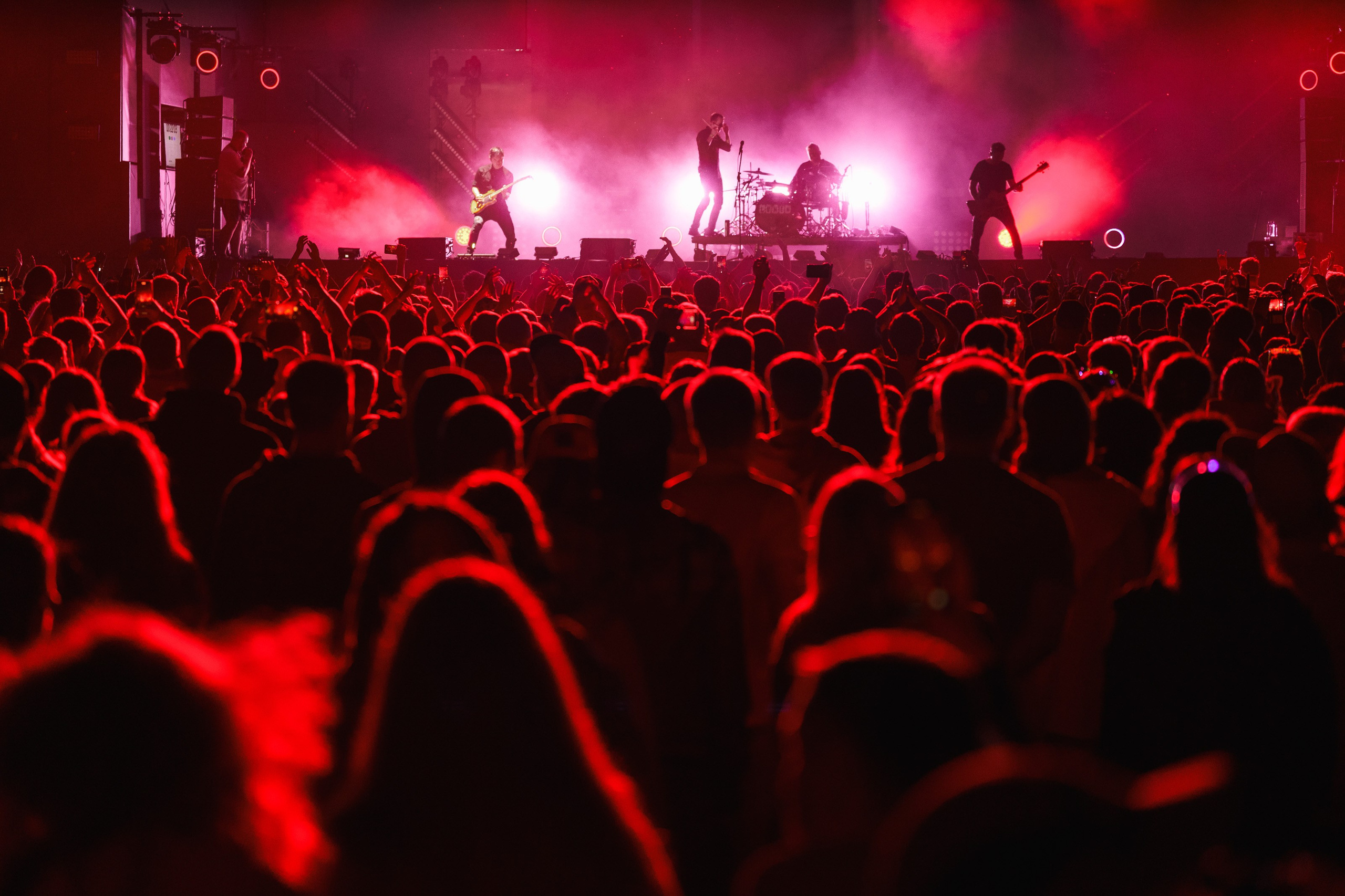 2023 Дикая Мята. Фотограф Николай Прокофьев модельные тесты в Москве