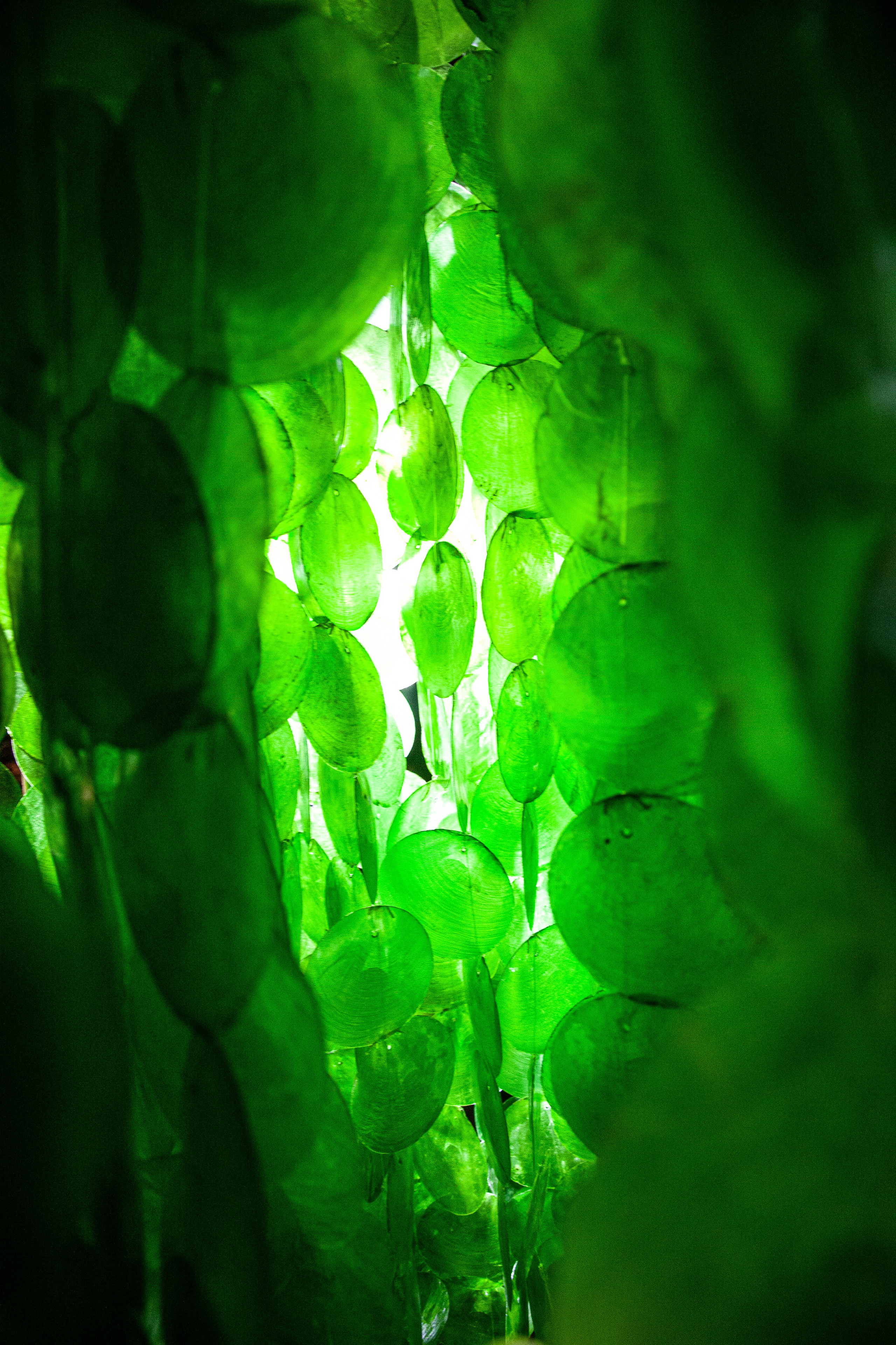 Имиджевая съемка. Фотограф в Москве Максим Быков