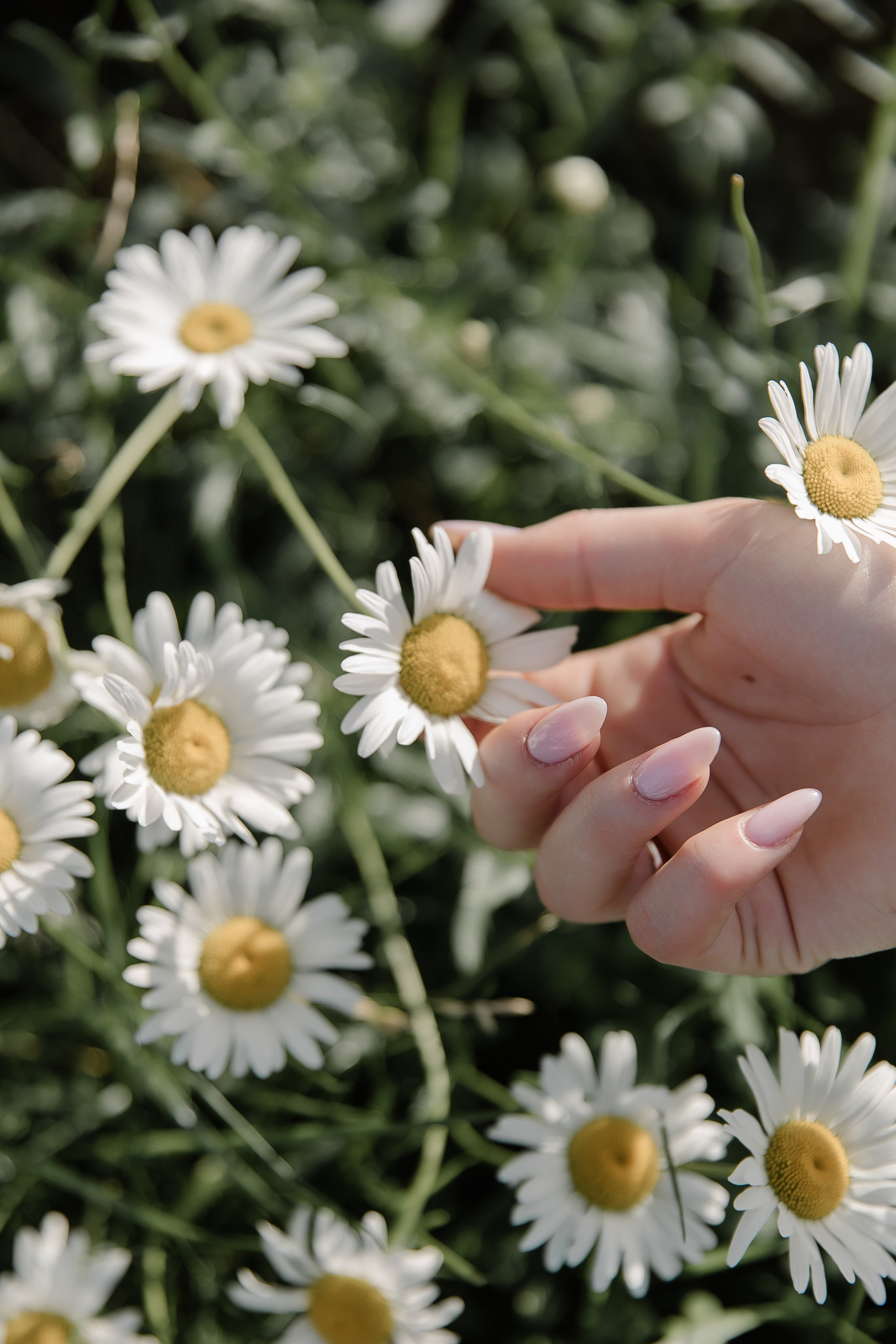 Ильмир и Катя. Свадебный и семейный фотограф в Набережных Челнах и Казани