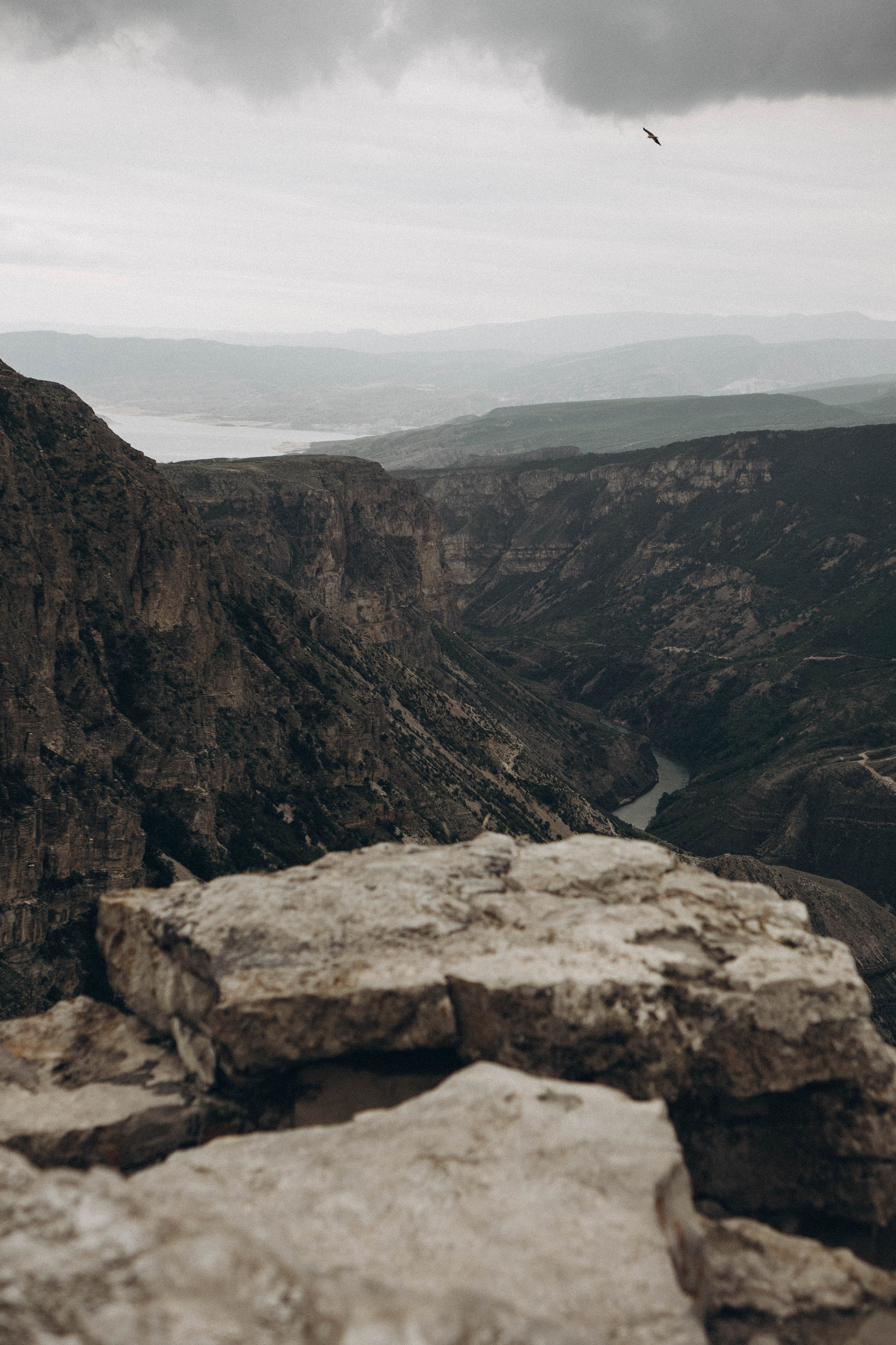 Кавказ. Профессиональный фотограф, Санкт-Петербург — Виктория Богомолова