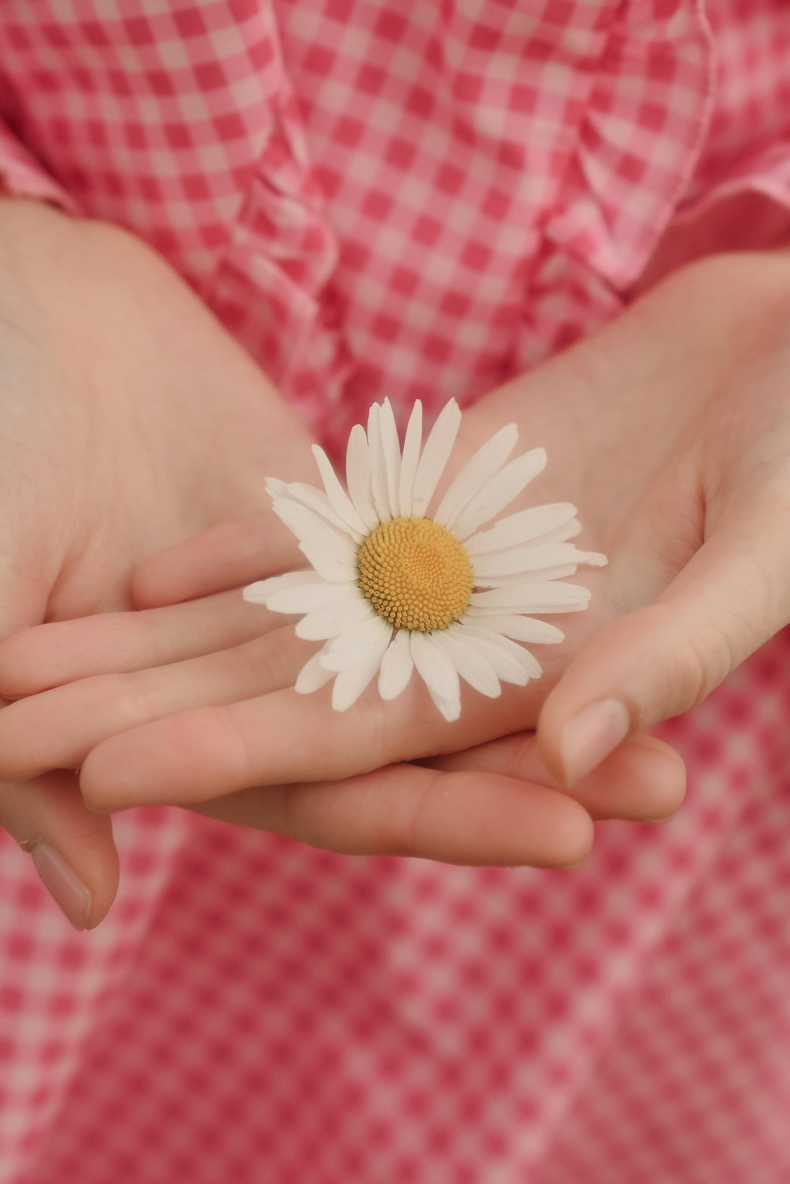 Моменты. Ваш фотограф