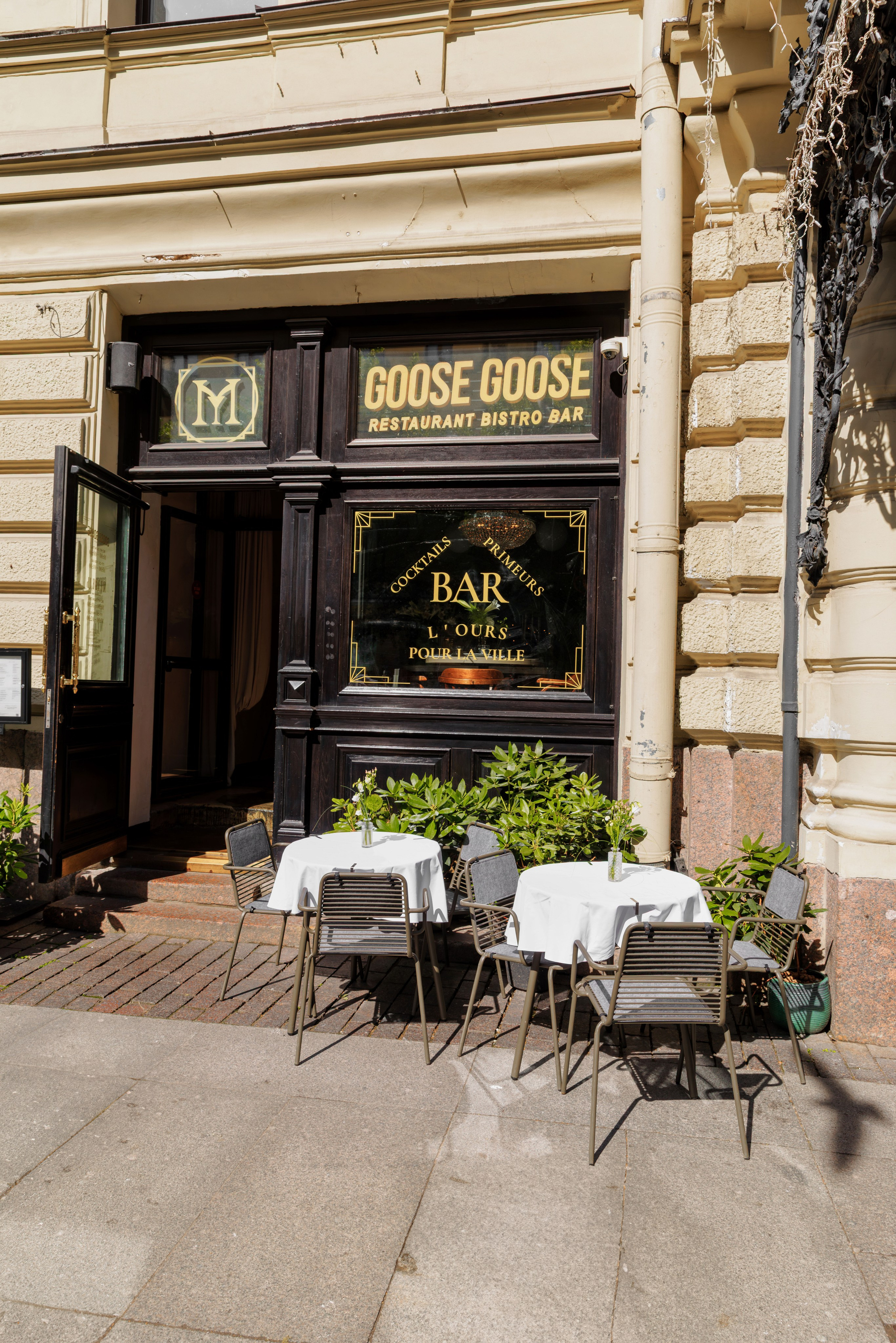 Медведь. Репортажный фотограф в Санкт-Петербурге Жолудев Владислав