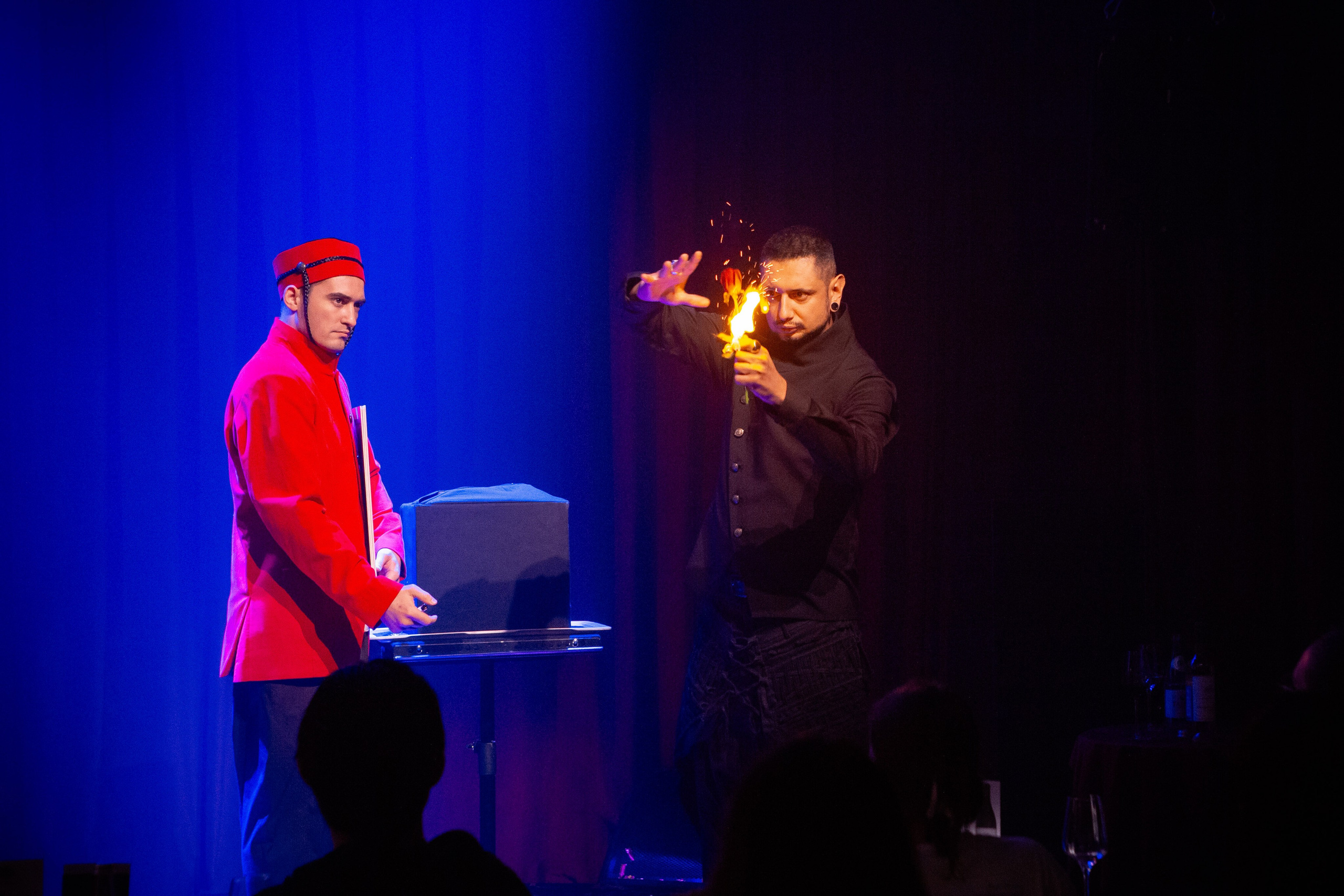 Цирковое шоу. Видеограф Добромыслов