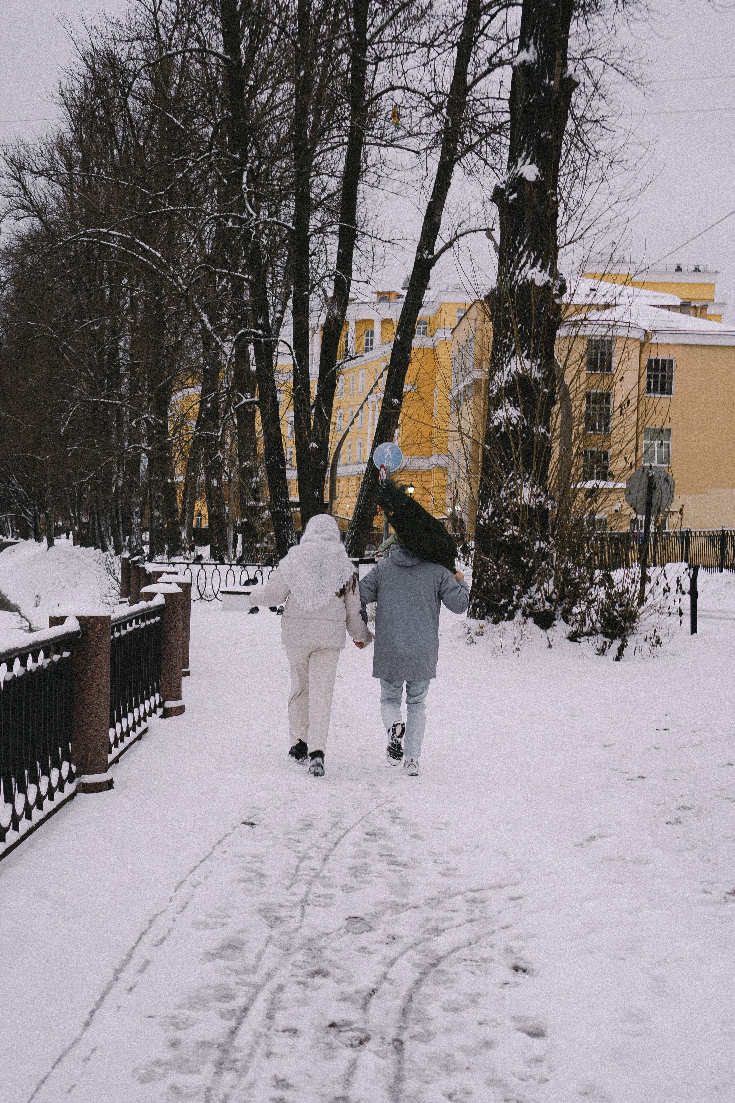 Зимняя история. Профессиональный фотограф, Санкт-Петербург — Виктория Богомолова