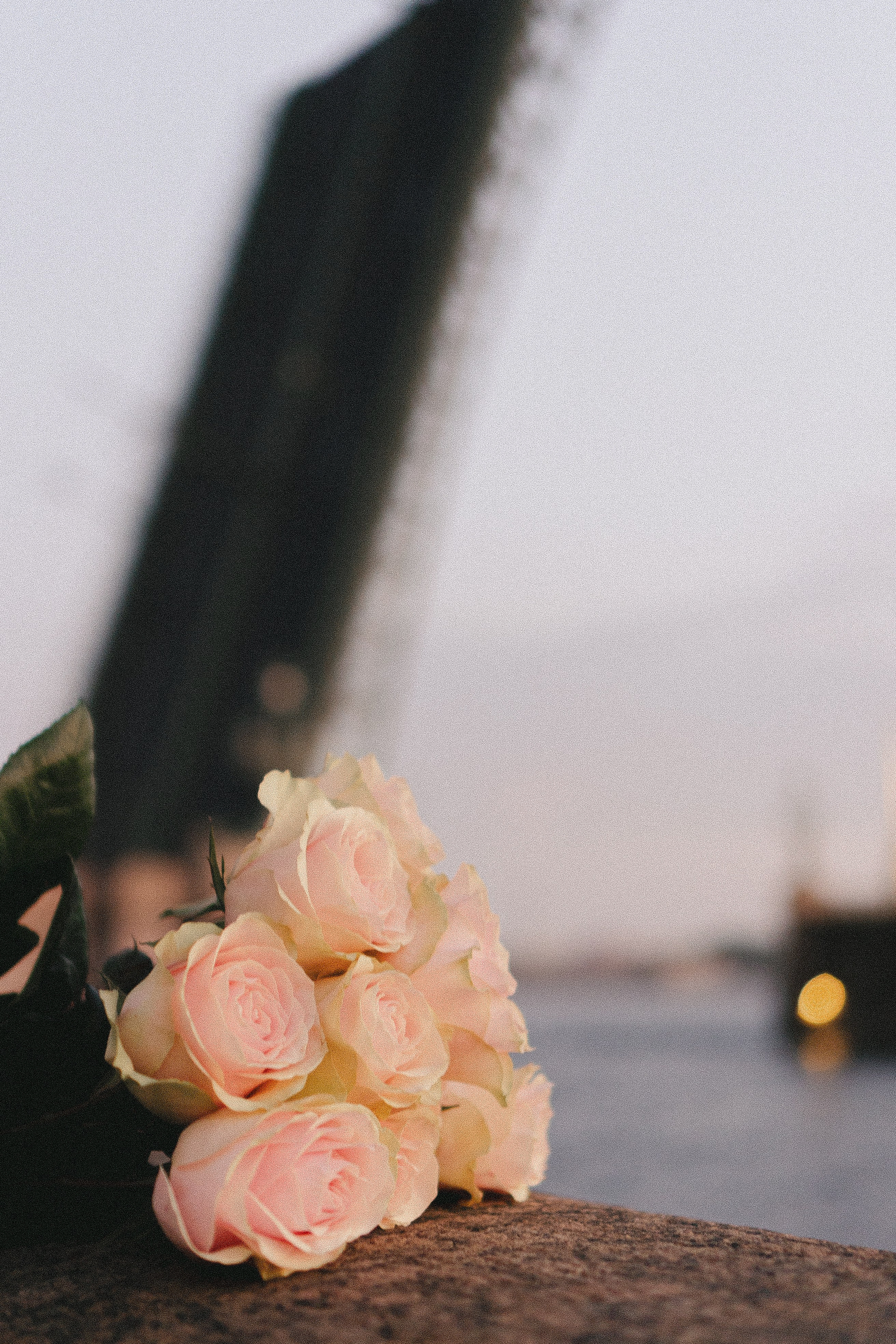 РАССВЕТНАЯ ИСТОРИЯ. Профессиональный фотограф, Санкт-Петербург — Виктория Богомолова