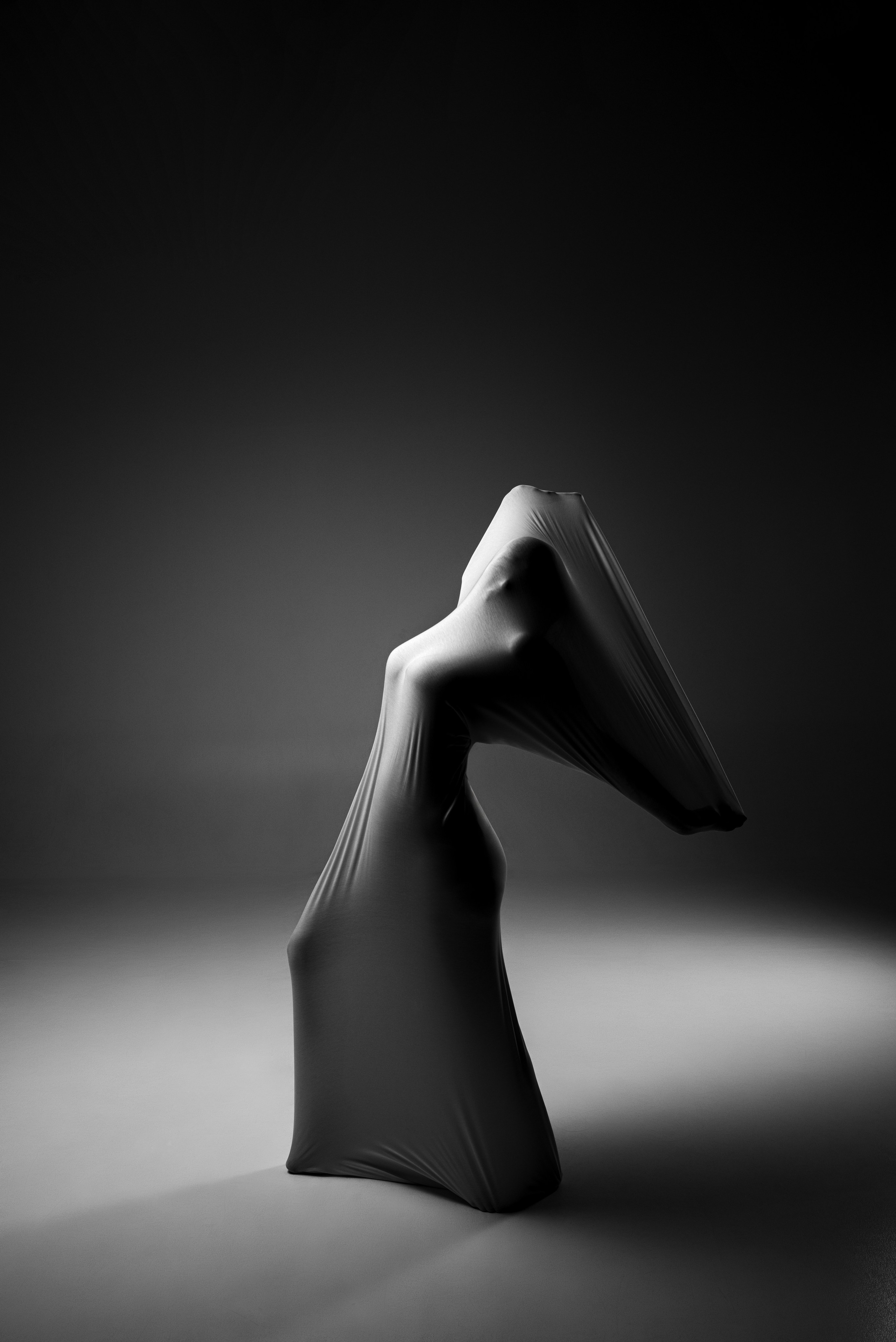 Фотографические скульптуры