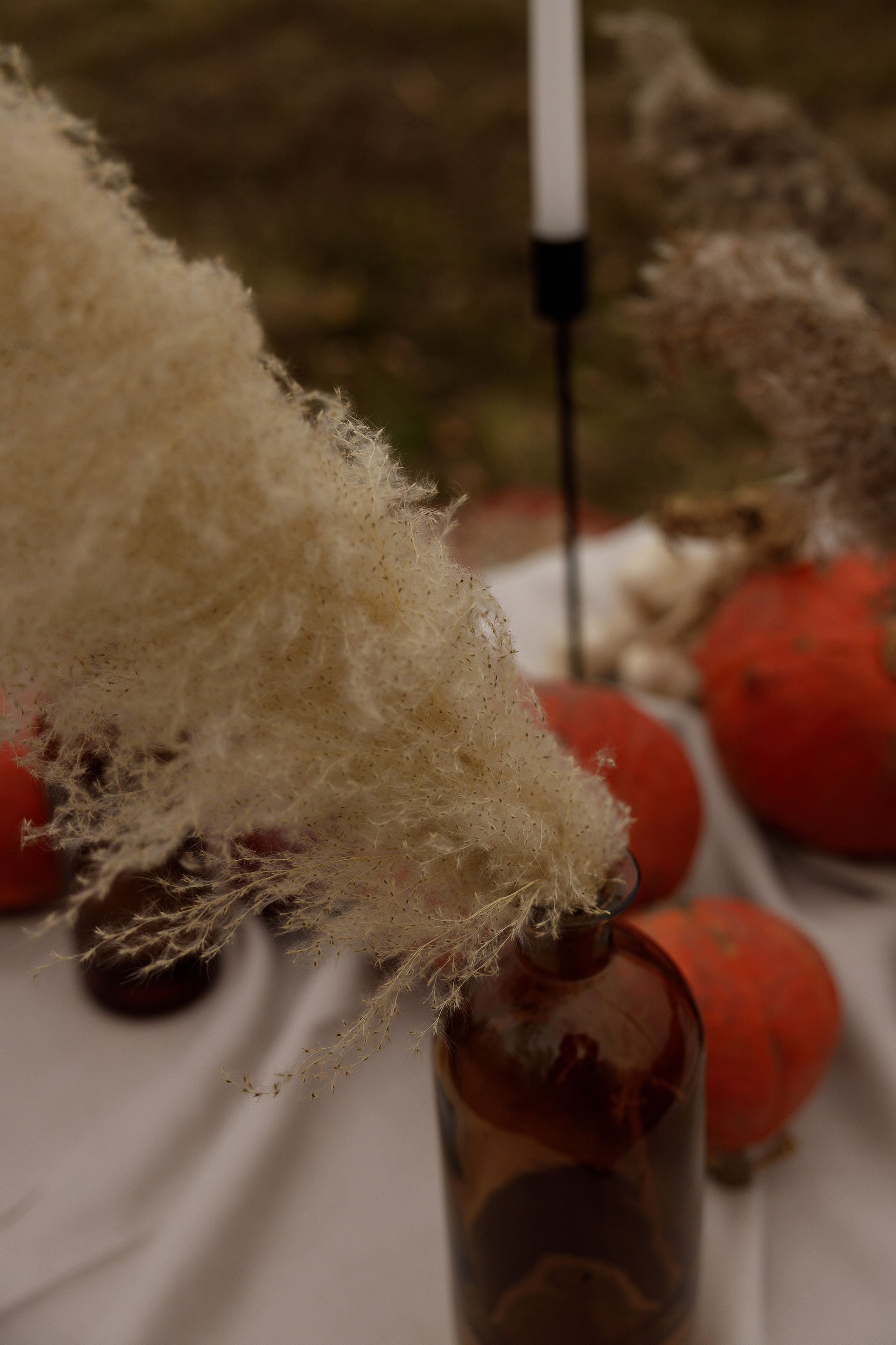 Ясная Поляна. Свадебный и семейный фотограф  во Владивостоке Ольга Украинец