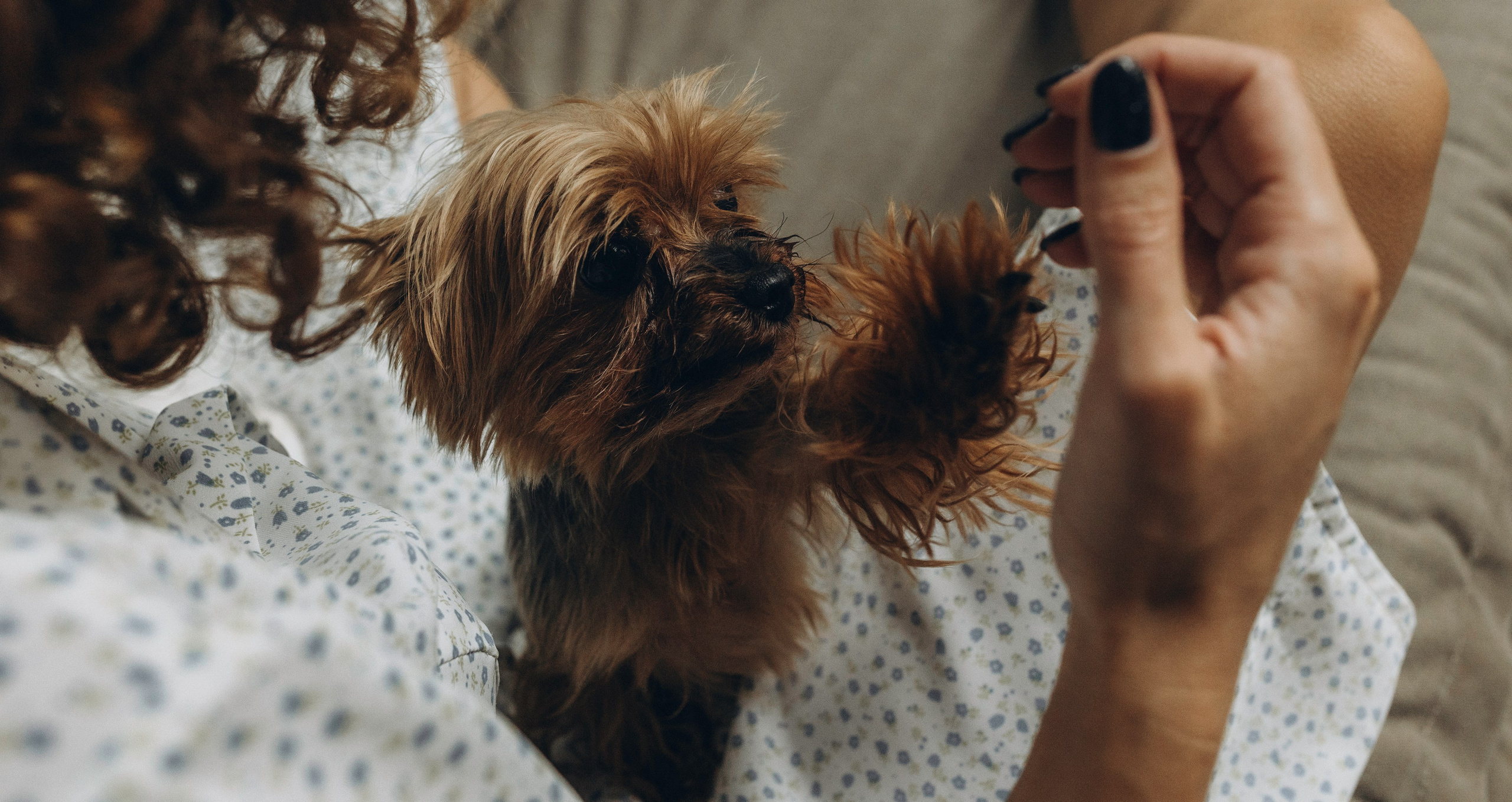 Doc & Dog. Татьяна Афонина | Фотограф