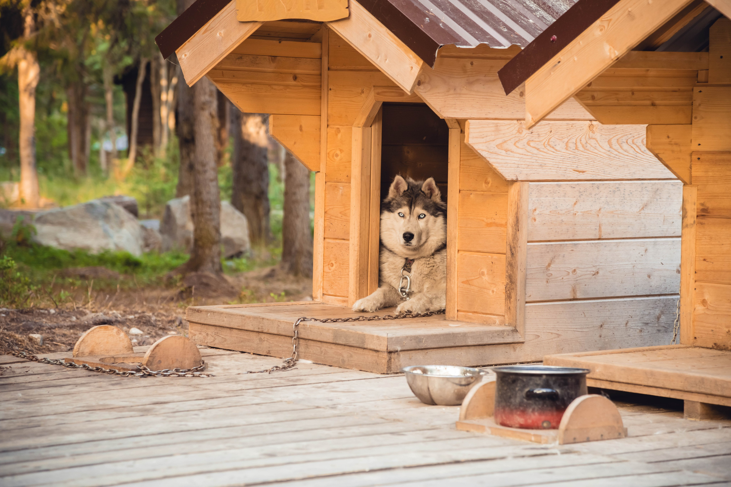 Кольский полуостров. Фотографирую для себя, своей семьи и друзей!
