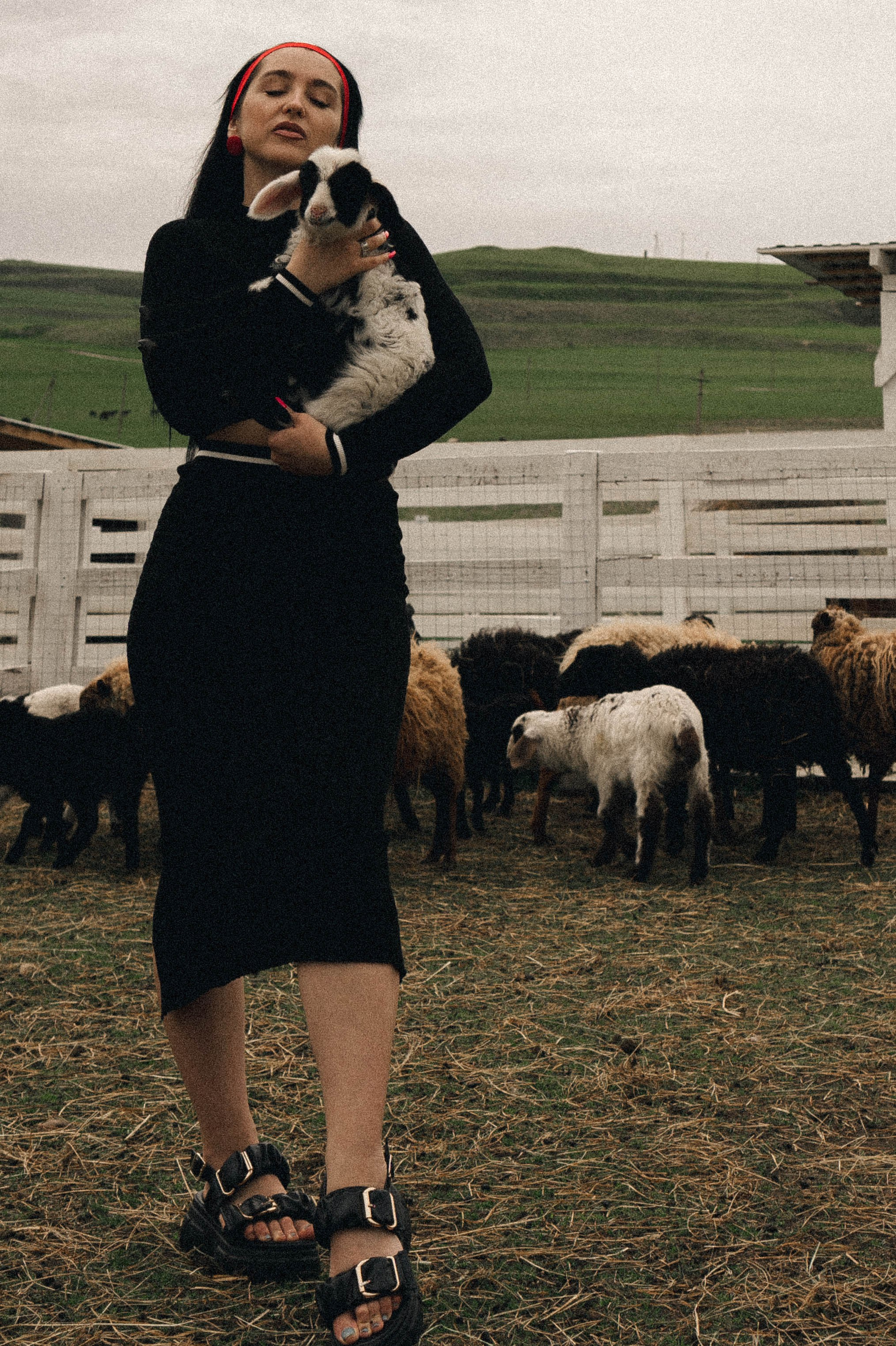 Ферма Альпак. Профессиональный фотограф, Санкт-Петербург — Виктория Богомолова