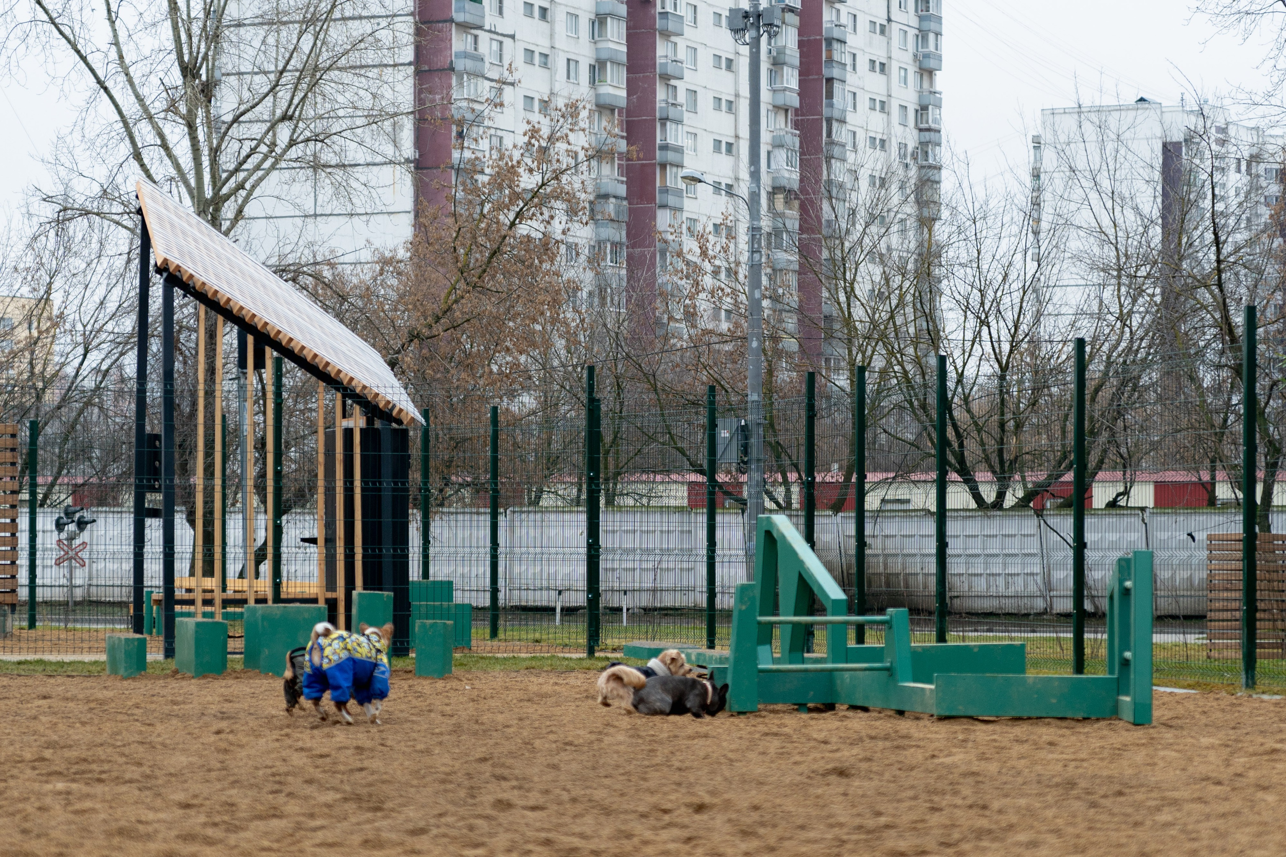 Площалка. Фотограф в Москве Лера Голубенко
