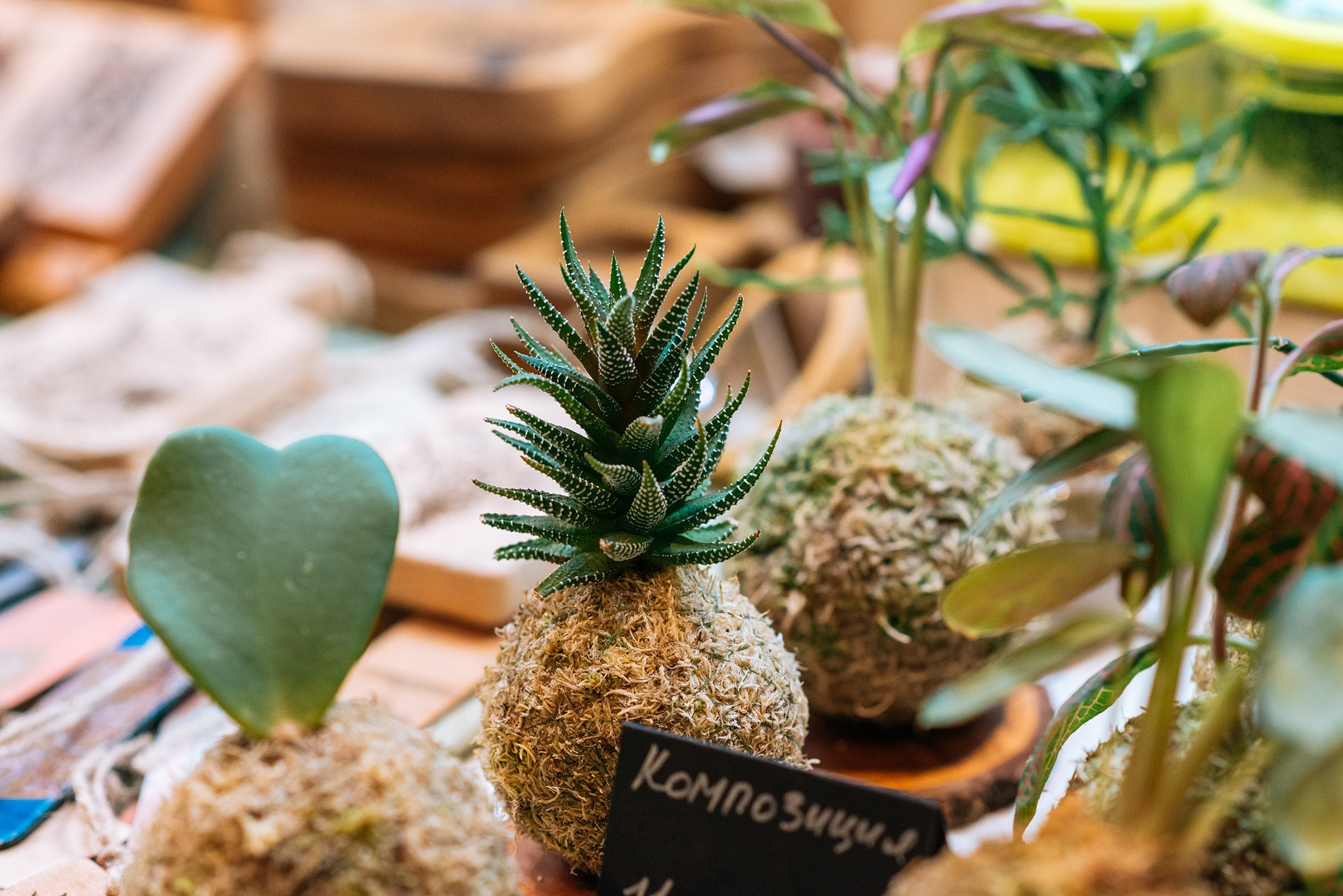 ВАУ Фест. Март 26. Репортажный фотограф в Санкт-Петербурге Анастасия Клёпова