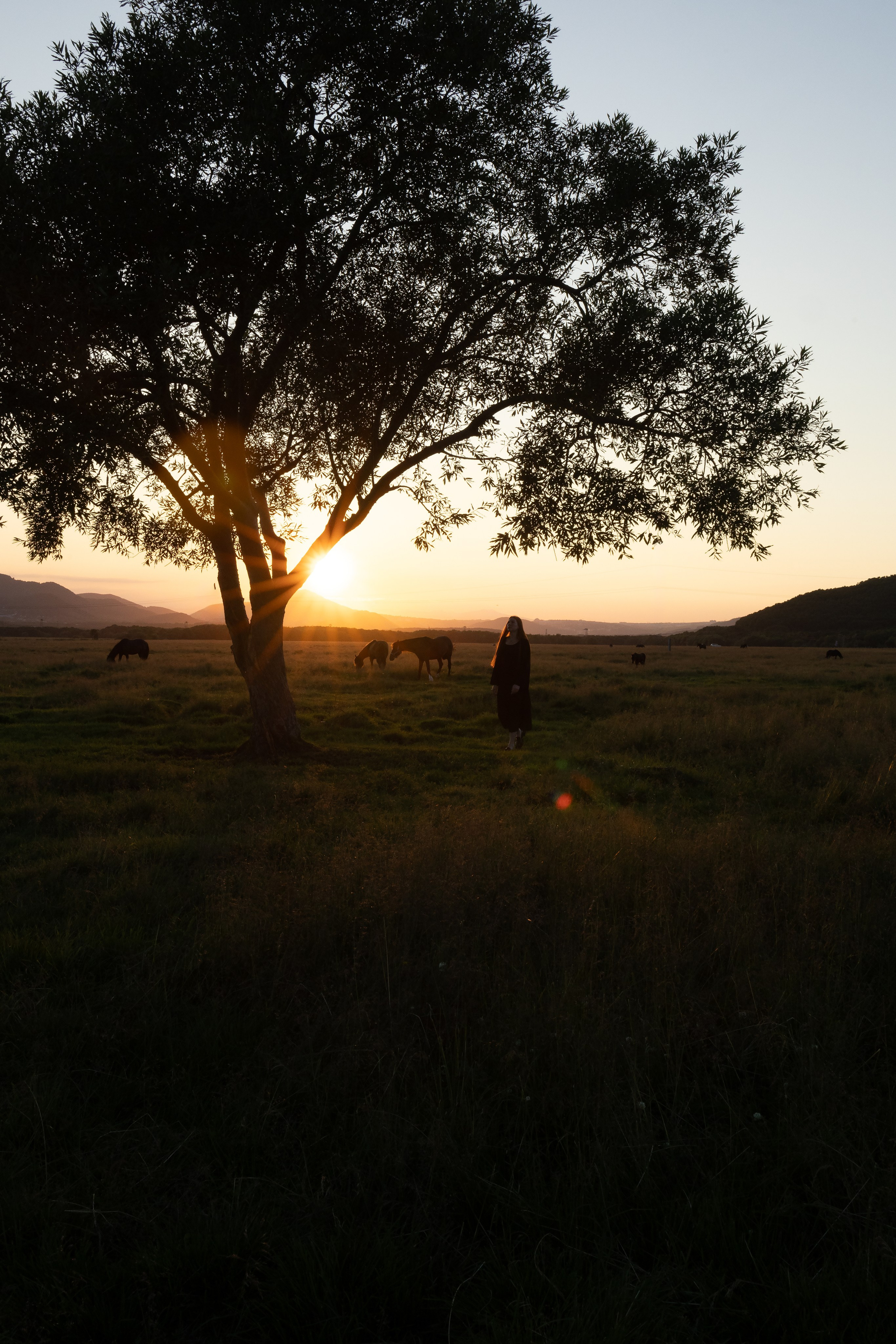 Екатерина. Свадебный фотограф в Петропавловске-Камчатском Артур Зябов