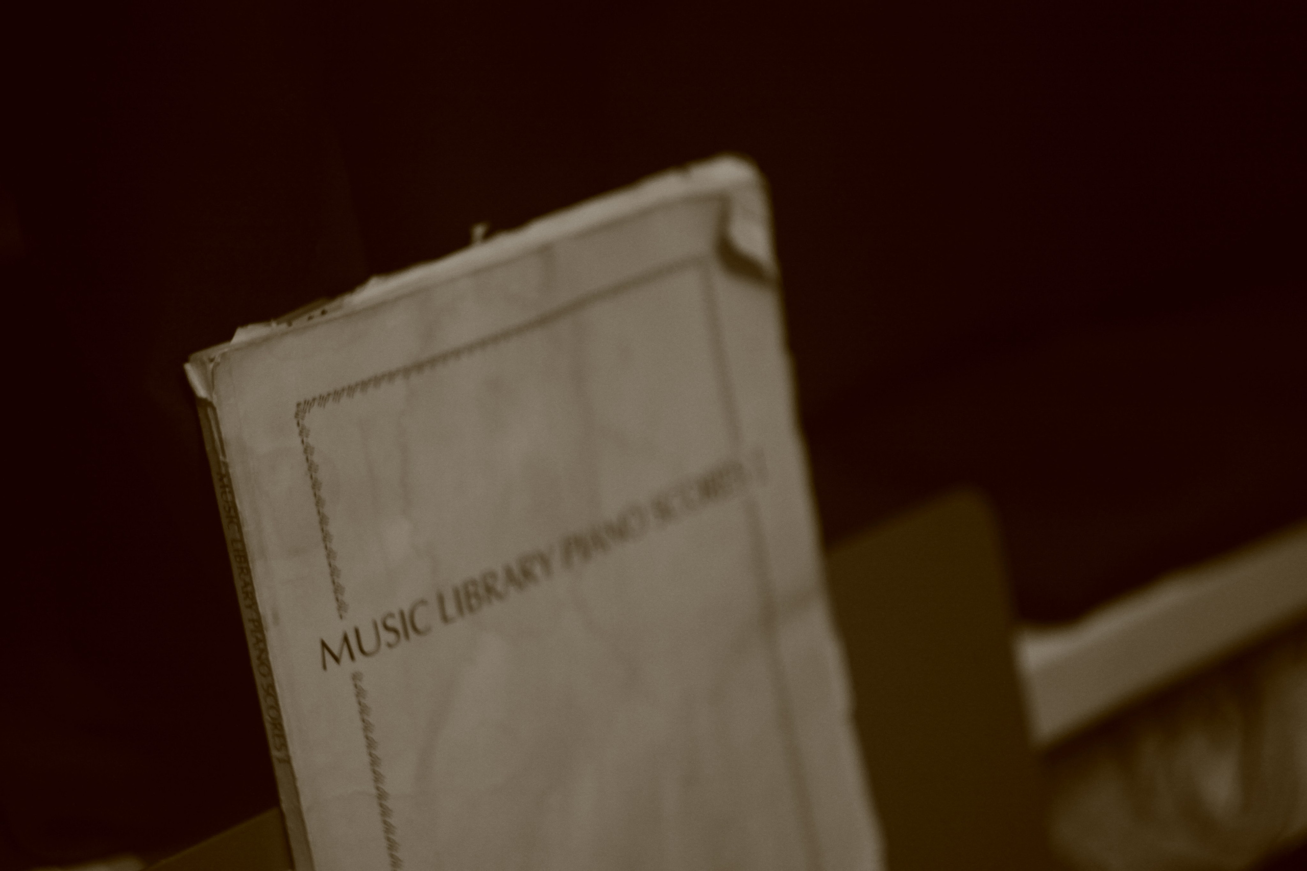 Improvisation. Den Mirov — Photographer, Musician