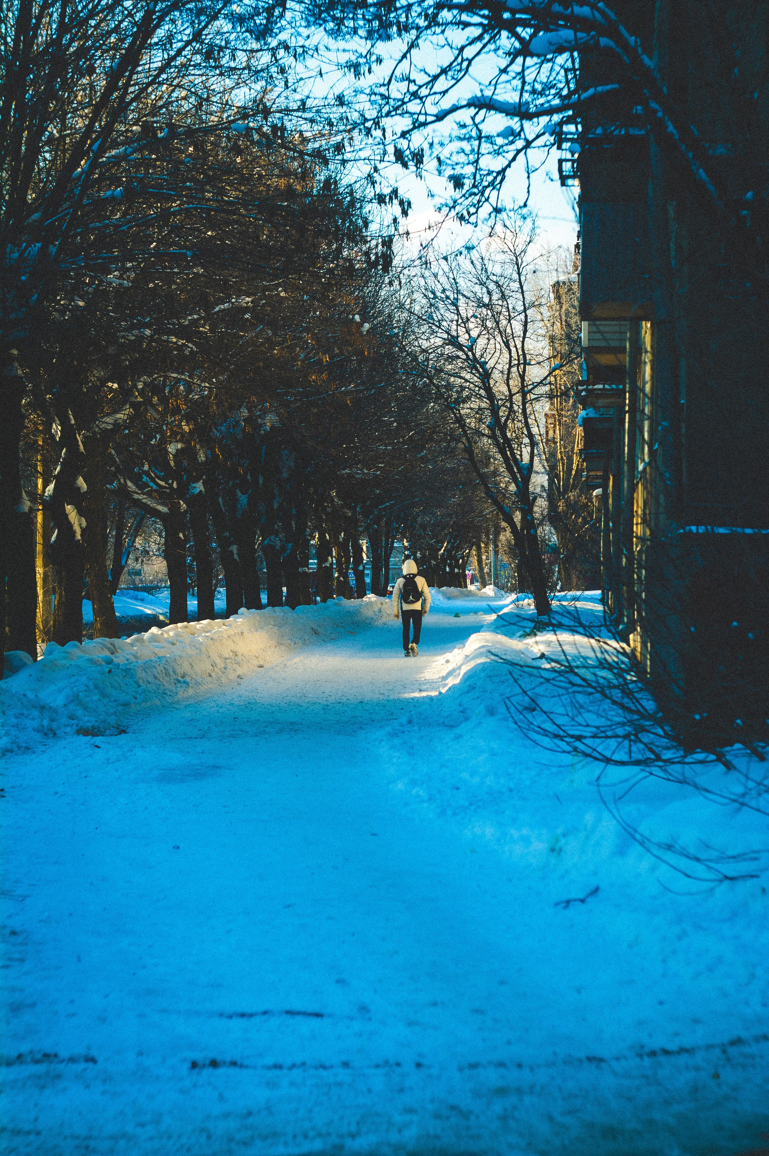 Замкнутые люди. Den Mirov — Фотограф, Музыкант