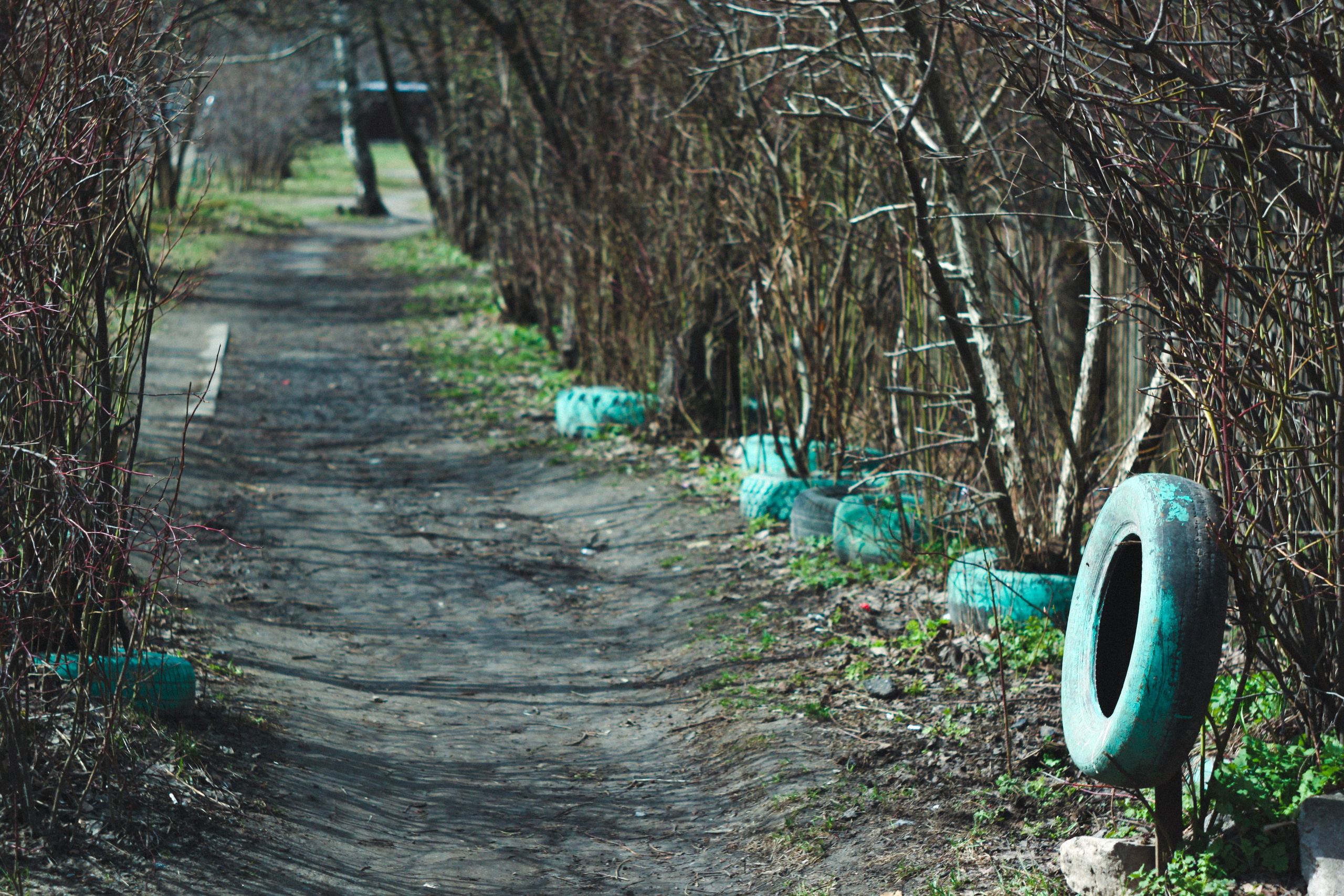Градус смелости. Den Mirov — Фотограф, Музыкант