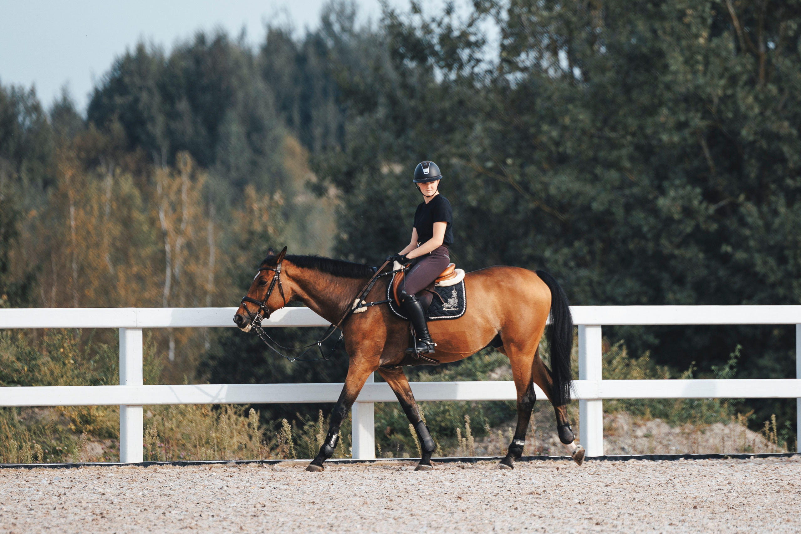 Конкур. Фотограф-анималист Анна Маринич