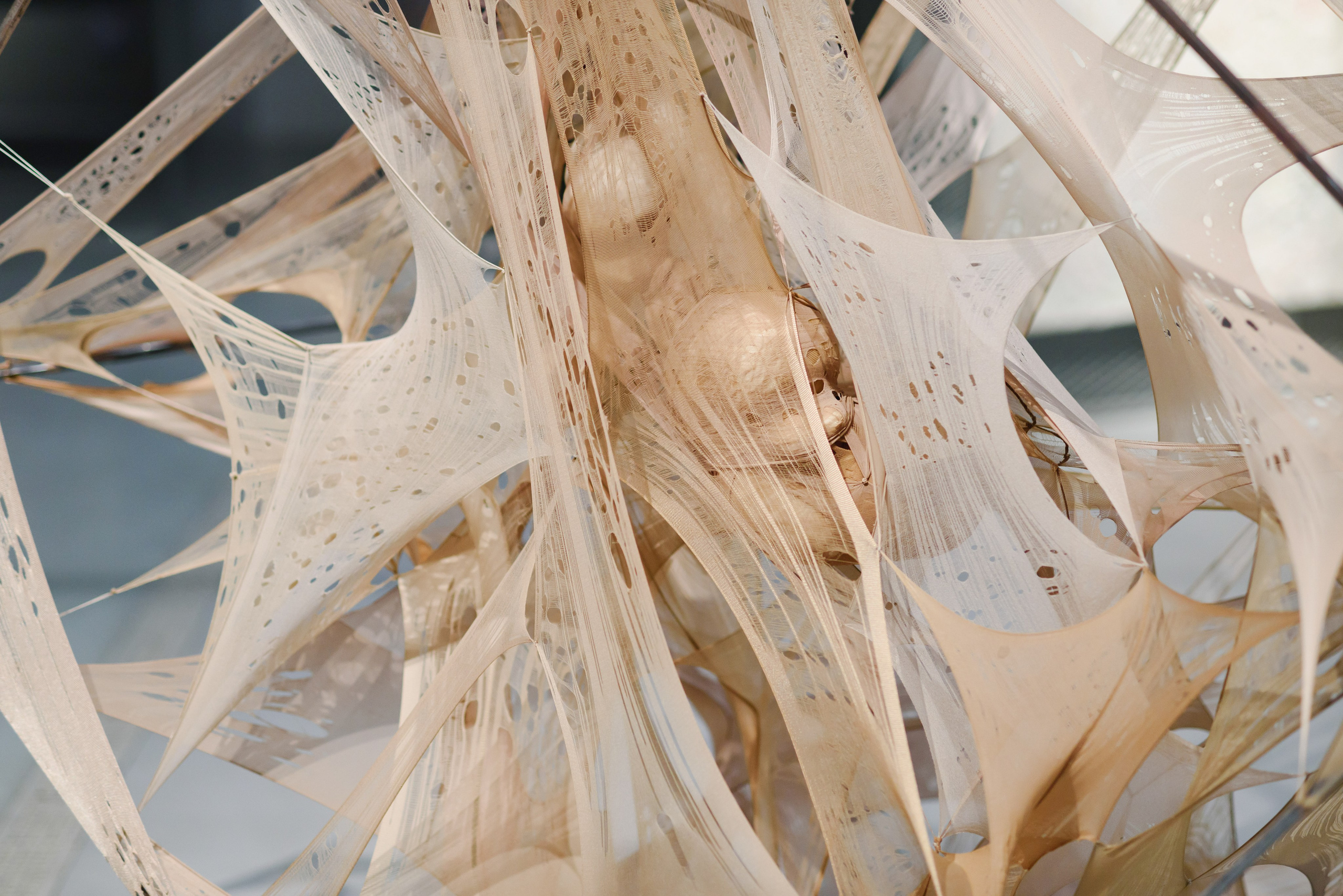 Выставки. Фотограф Руслан Хафизов