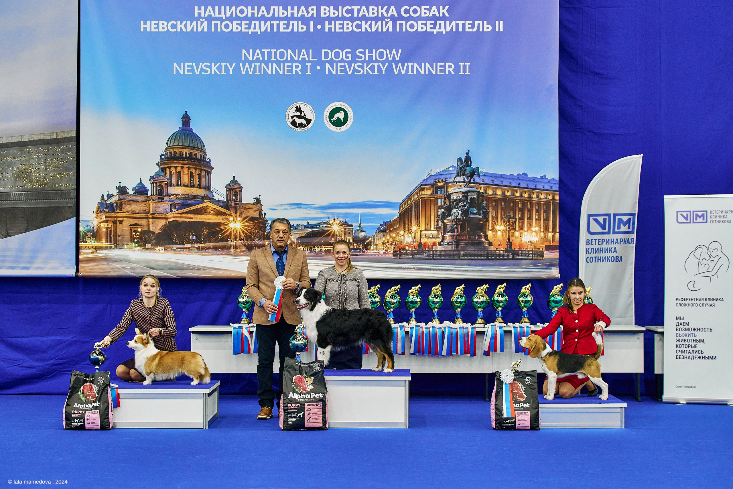 РЕЙТИНГОВАЯ ВЫСТАВКА СОБАК ВСЕХ ПОРОД С ОСОБЫМ СТАТУСОМ"НЕВСКИЙ ПОБЕДИТЕЛЬ-2024-2"