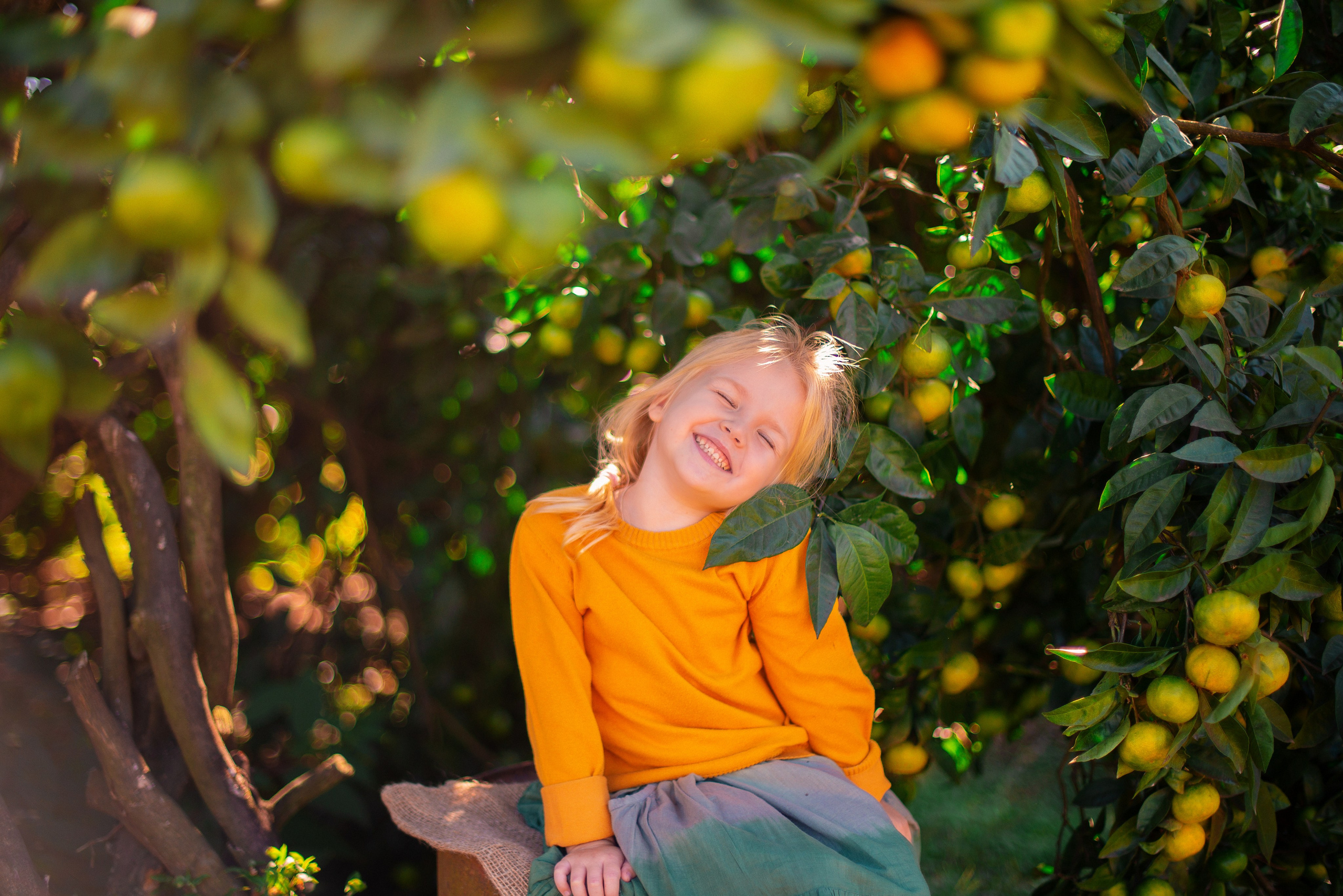 Мандарины. Детский и семейный фотограф в Абхазии
