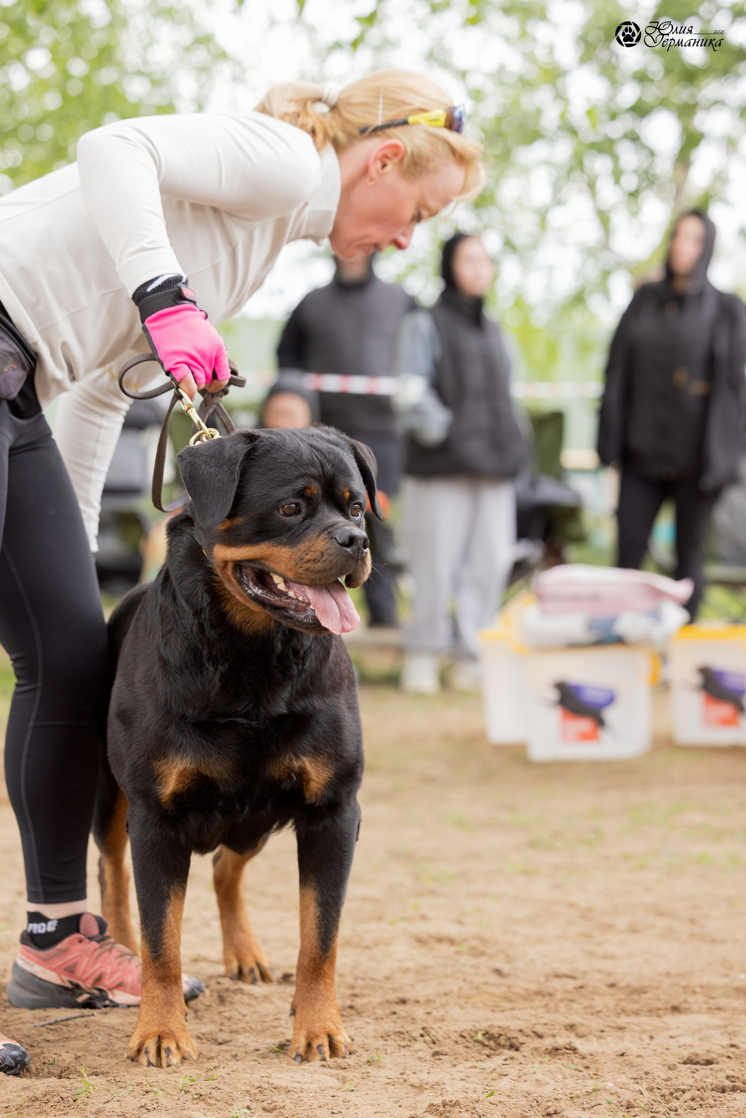 Саратов моно ротвейлеров 26-27.04.2025. Фотограф-анималист Юлия Германика