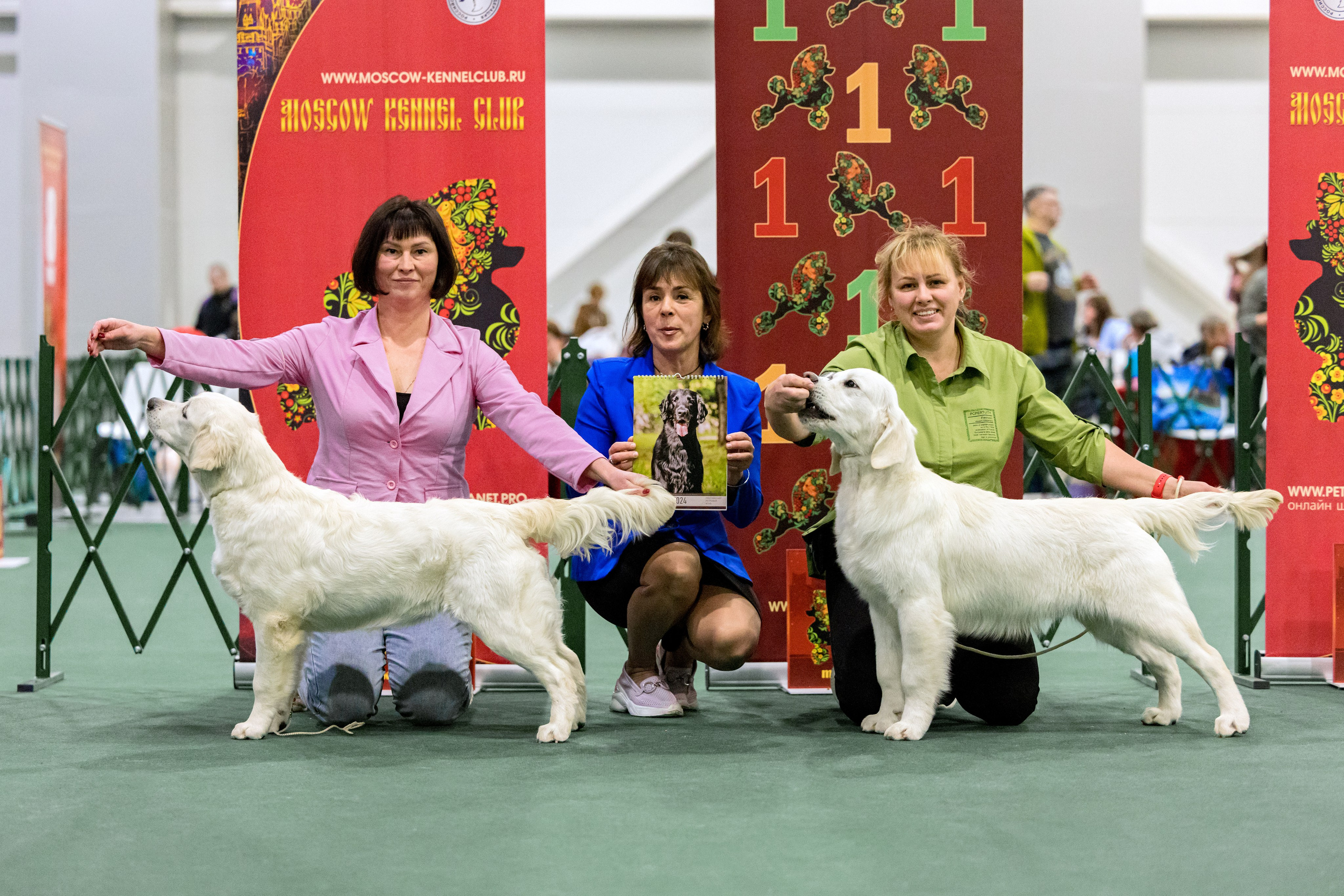 Сфера 29.10,Крокус 4.11,Сфера 12.11.2023. Фотограф-анималист Юлия Германика