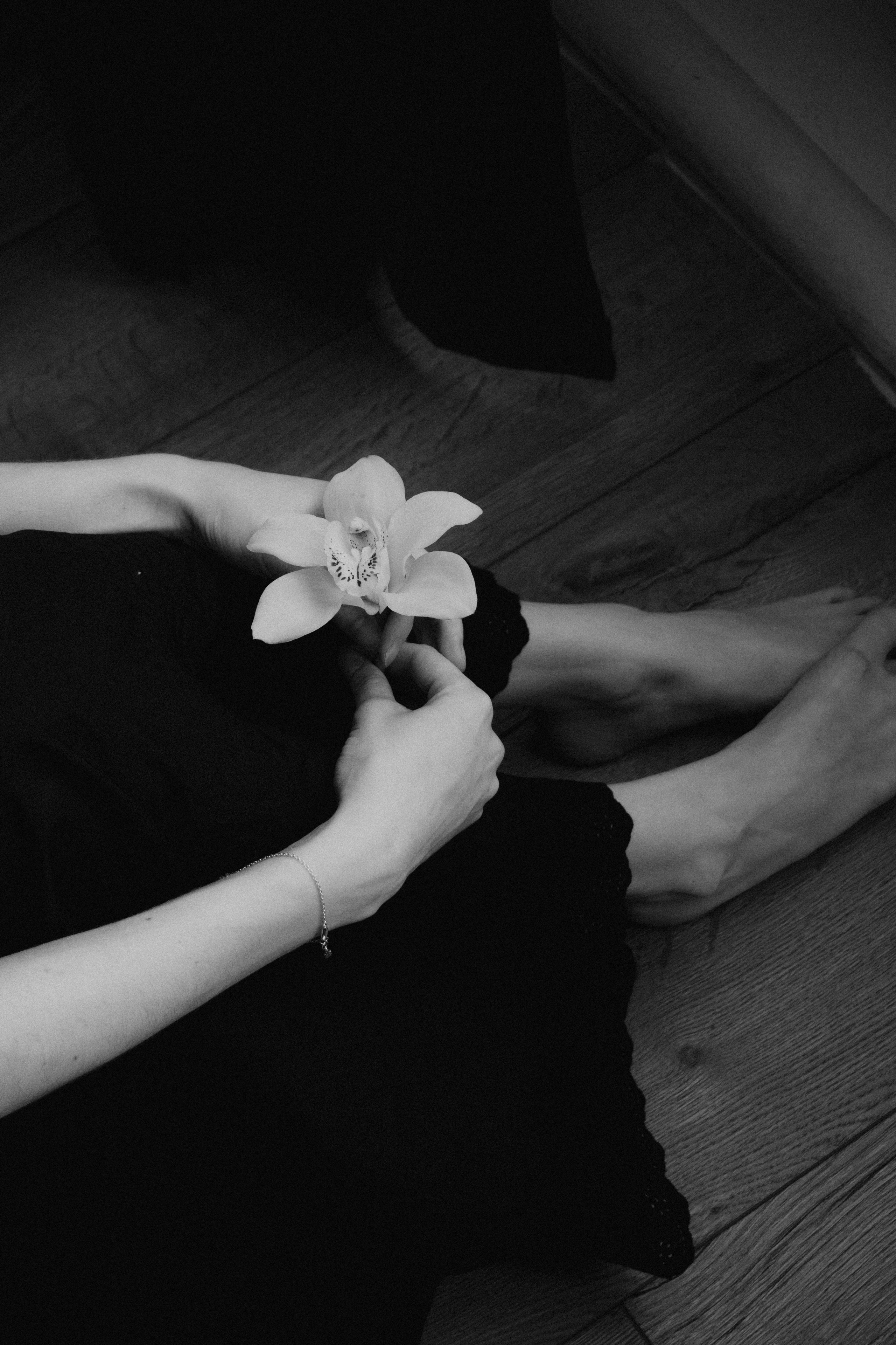 Darya. Я — Алёна и я фотографирую красиво (е)