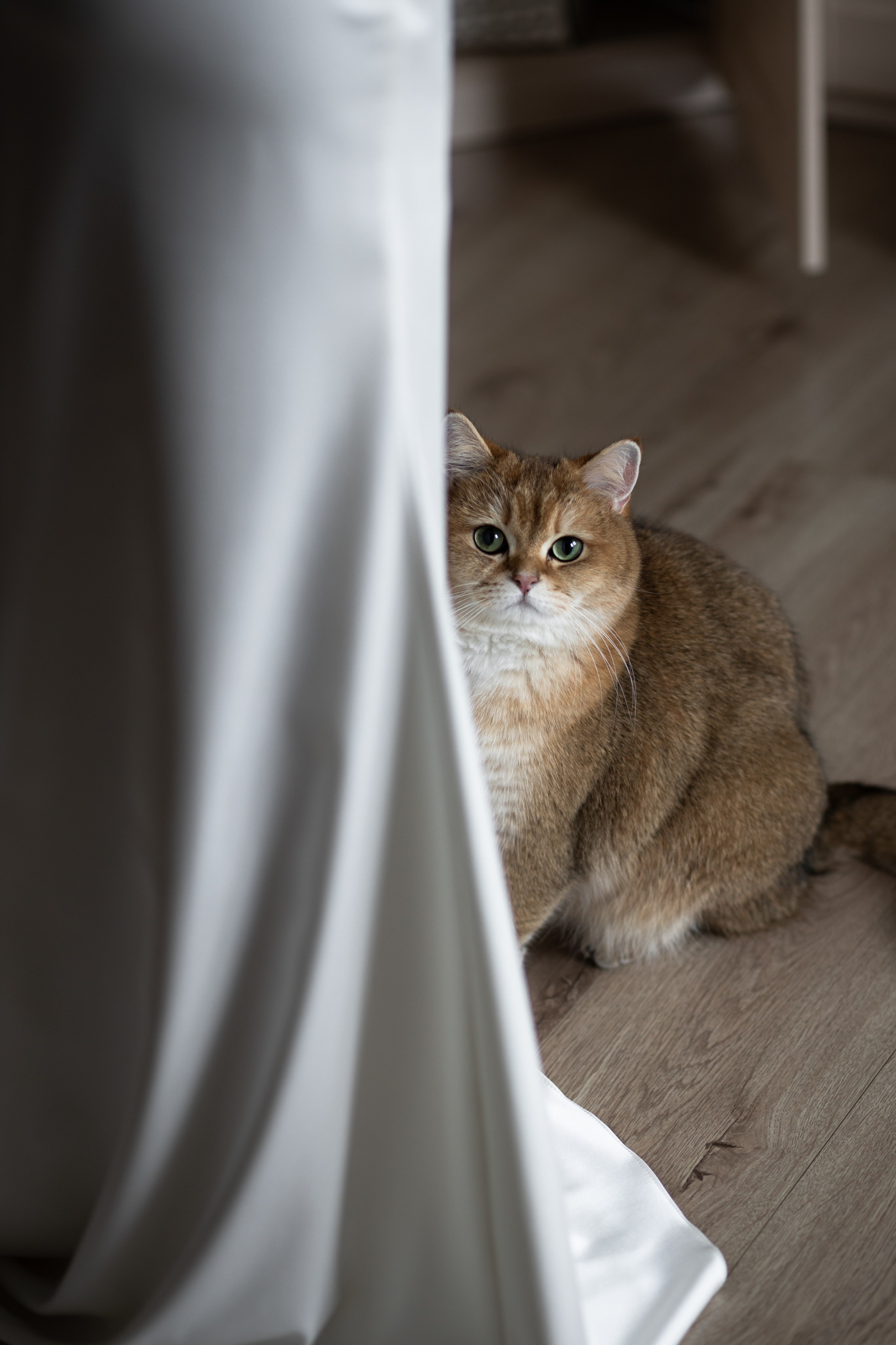 Свадебный фотограф москва, свадебная серия, фотосерия свадьба, свадьба пример, фотограф свадебный, фотограф москва, фотограф гладков дмитрий, свадебная съёмка, свадебная фотосессия, фотосессия свадьба, свадьба москва, стоимость свадебного фотографа, свадебное фото, фотограф свадьба москва, свадебный фотограф цена, фотограф одинцово, свадебная фотосессия, сборы невесты, утро невесты