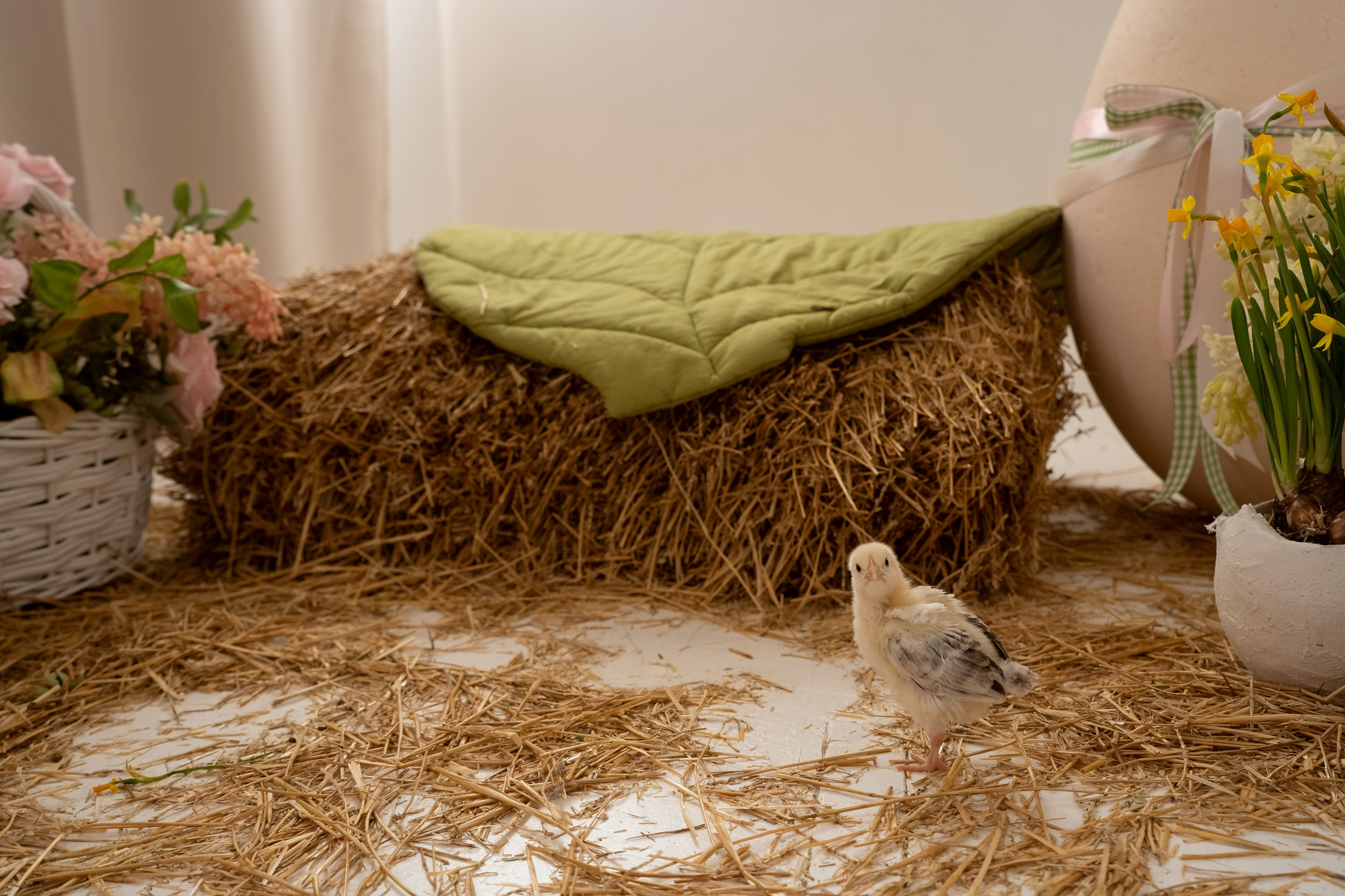 Дети и кролики. Главная