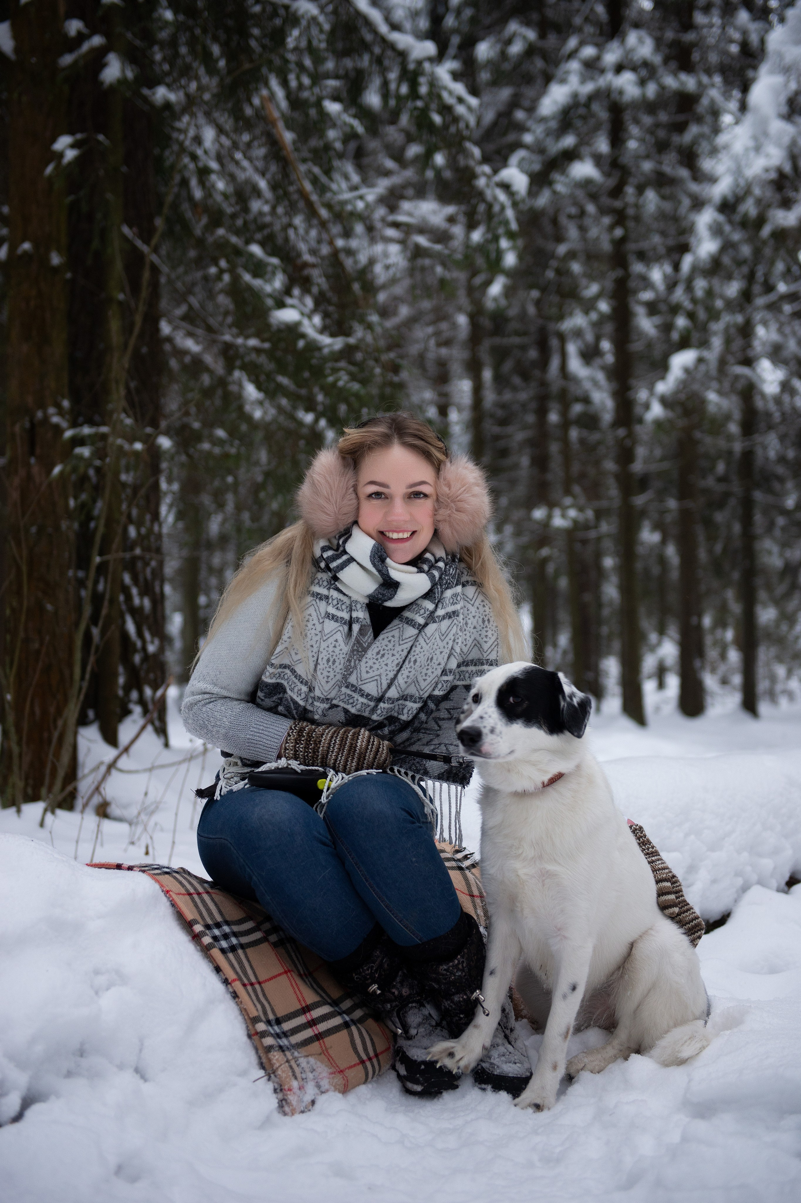 Зимний лес прекрасен. Творческий фотограф Вологда