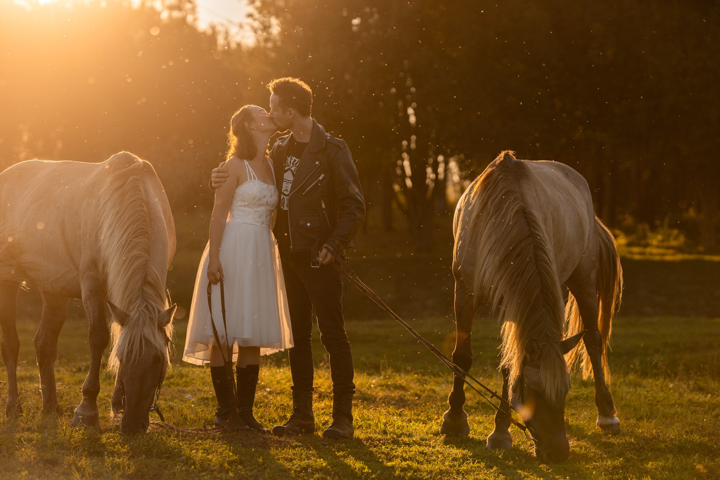 Love Story. Фотограф-анималист Юлия Удовенко