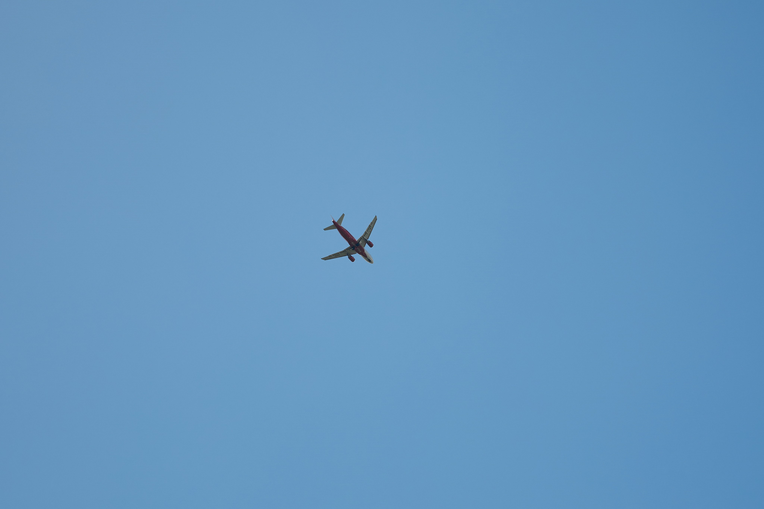 Дарья и Дмитрий