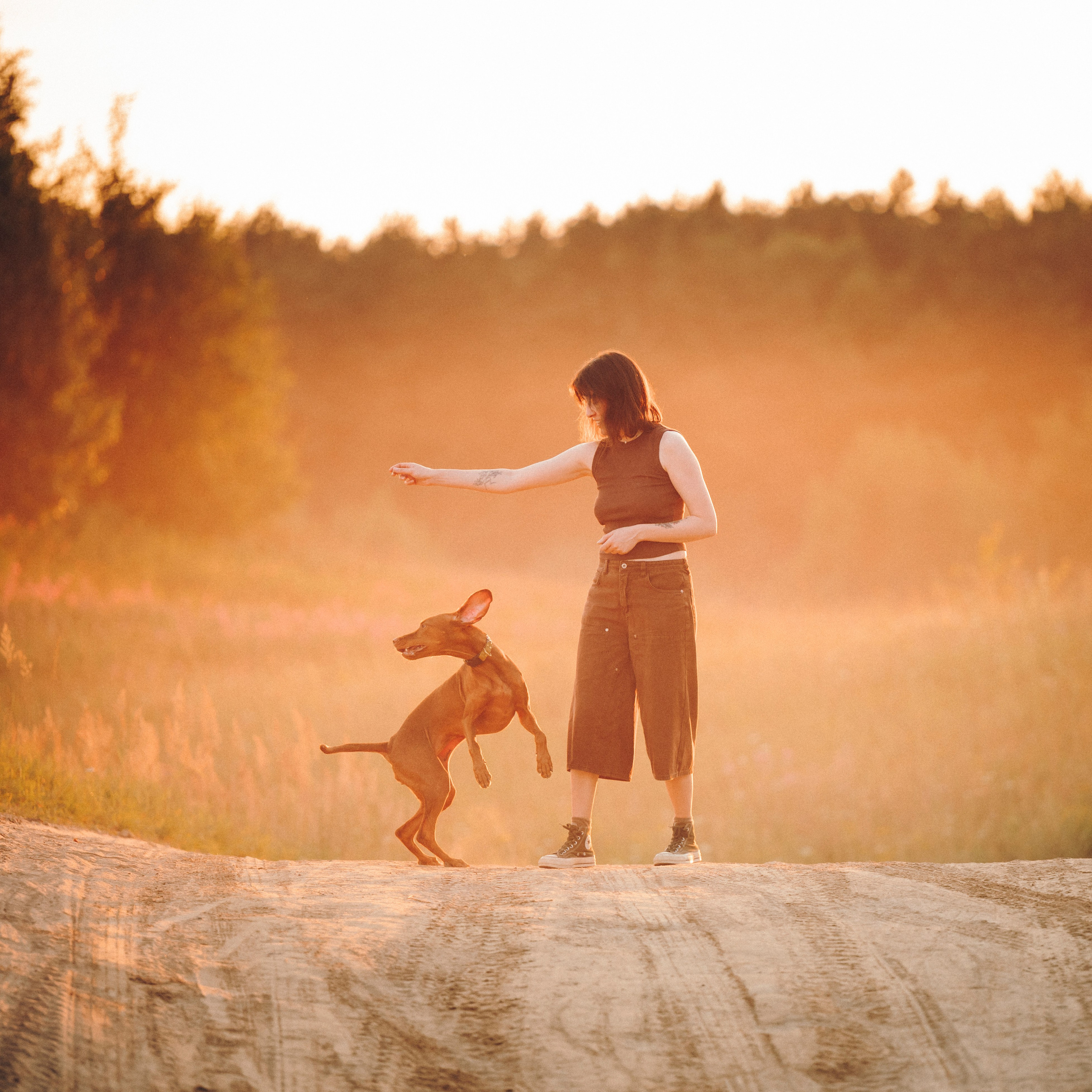 Маша, Трисс и Эста. Семейный фотограф анималист Ананьева Мария — Москва