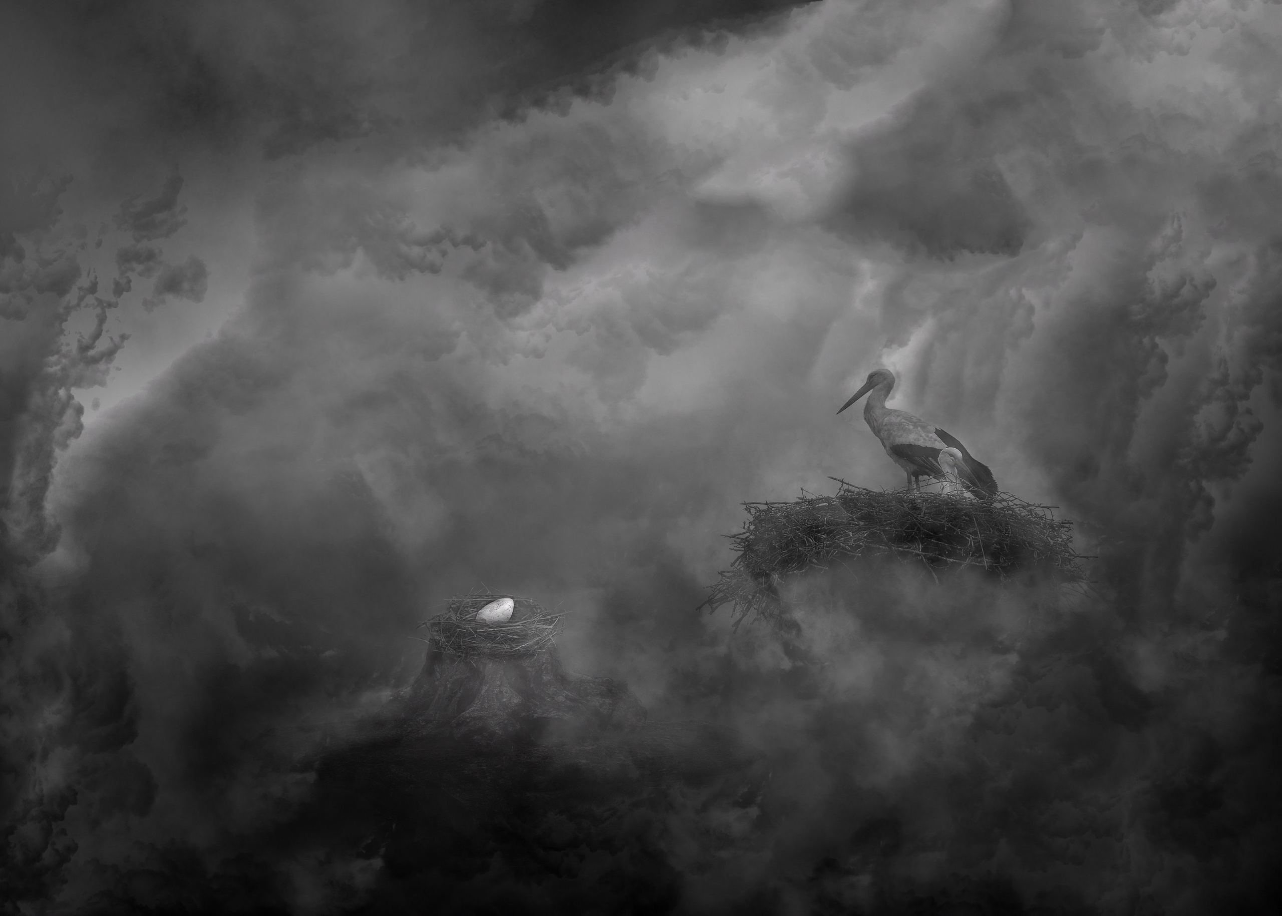 Концептуальная фотография. Медиапродюсер, фотограф в Минеральных Водах —Виктор Холодов