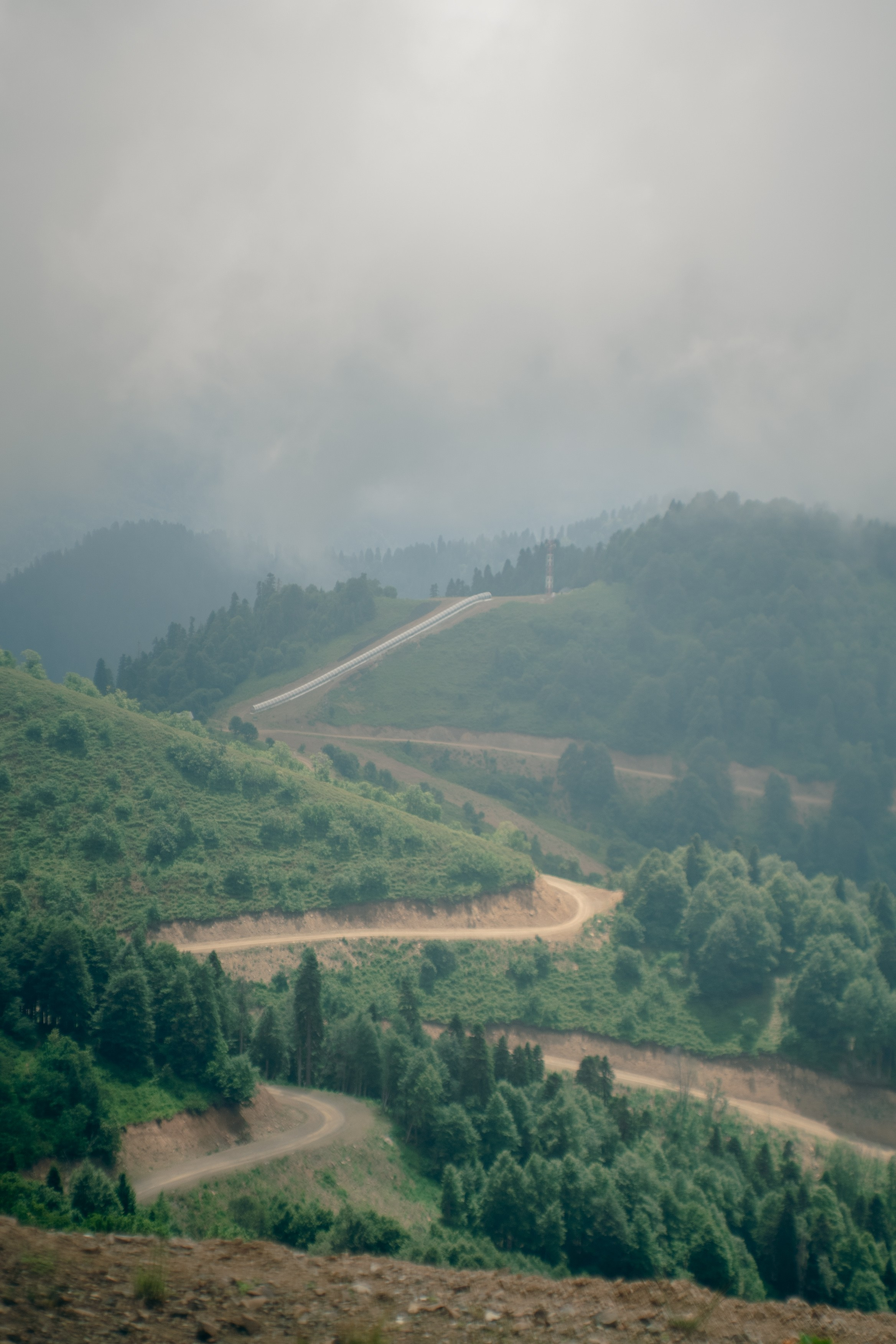 Нахазо ✽ Июль. Репортажный фотограф | Роза Хутор Красная Поляна Сочи Сириус