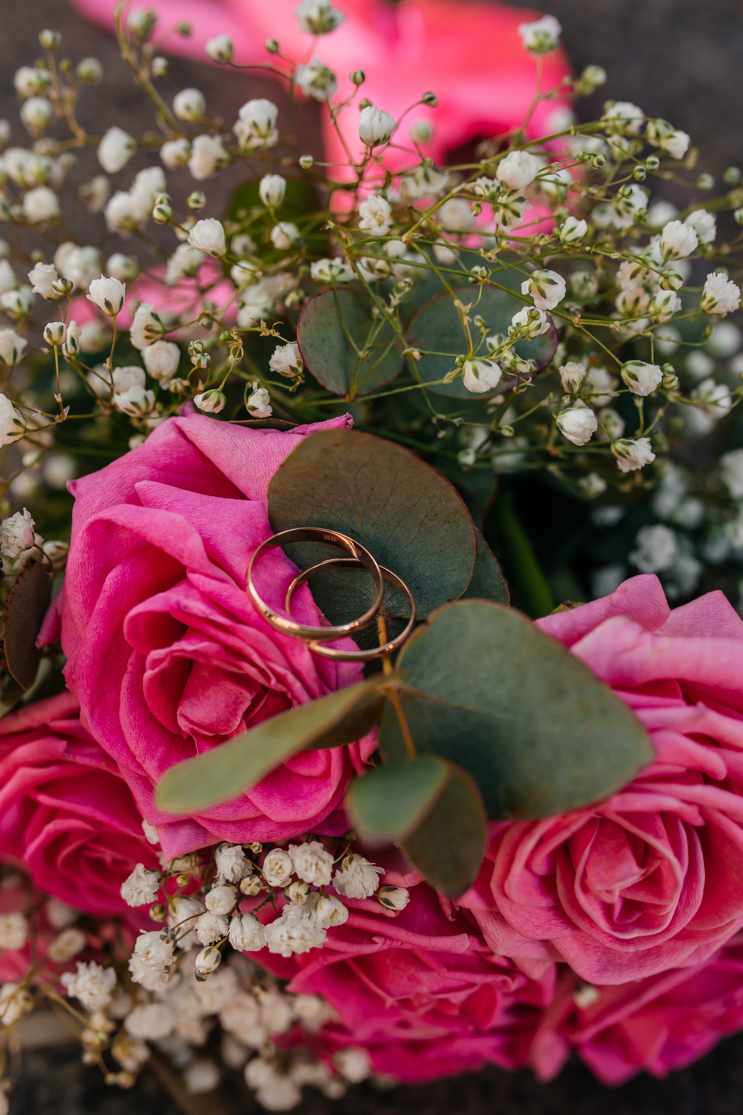 Свадьба Сергей и Екатерина. Анастасия Давыдова