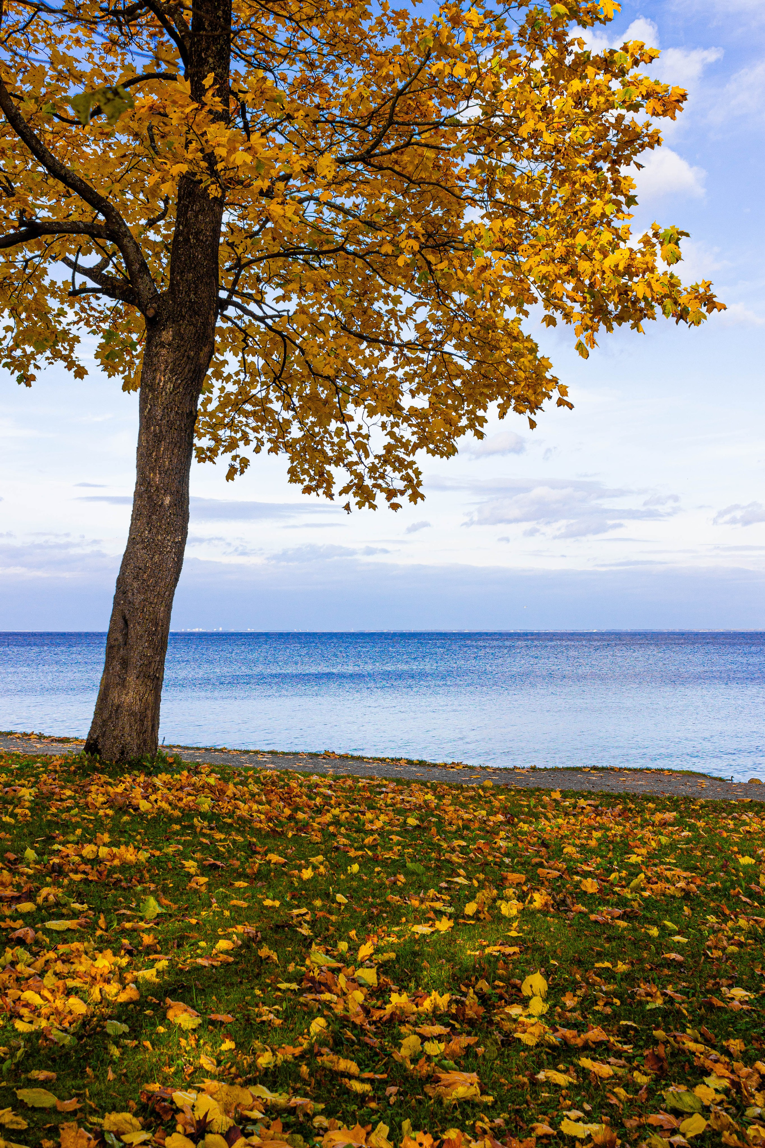 Петергоф. Maks Mironov