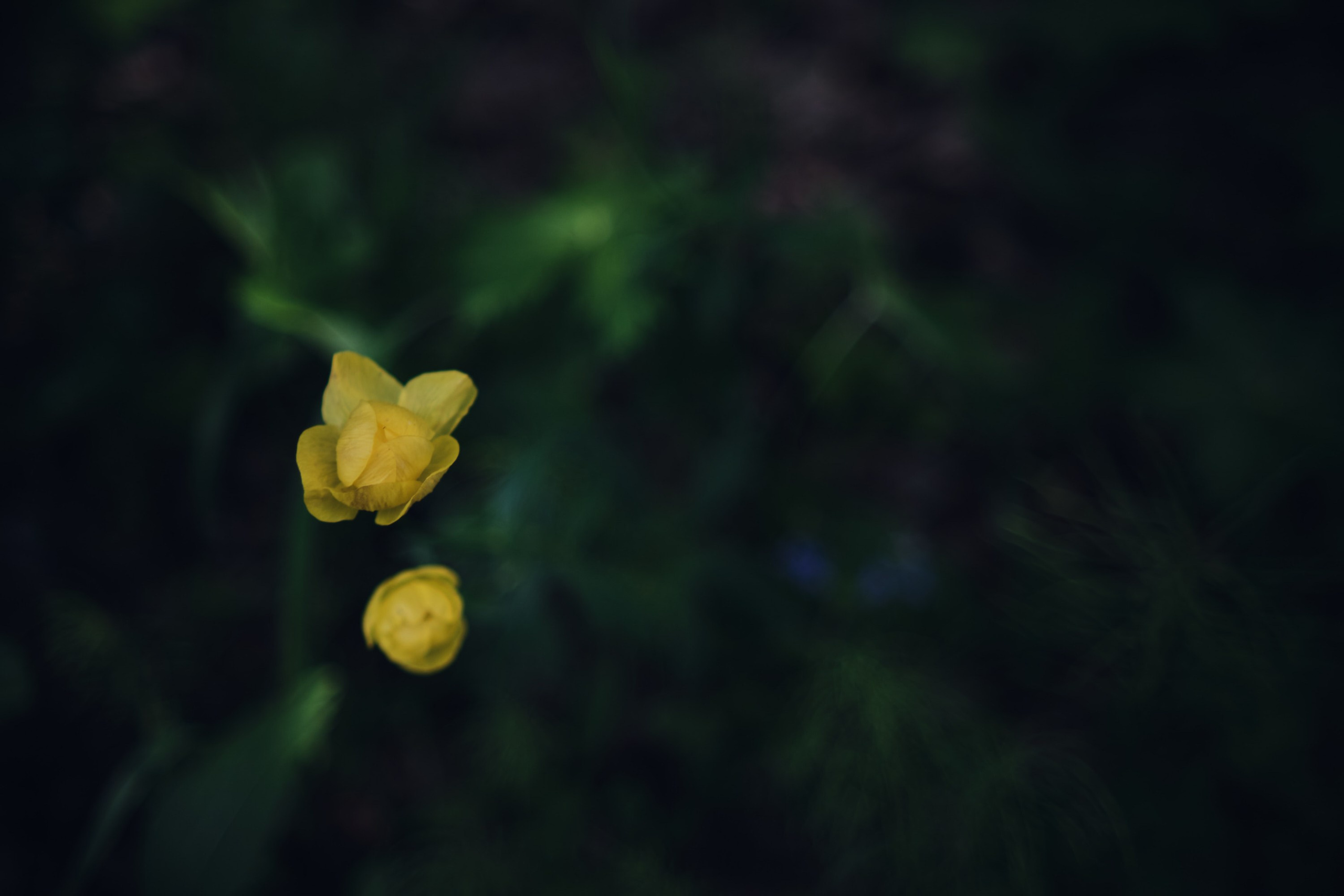 Русский север: путешествие по Карелии, Архангельской и Вологодской областям