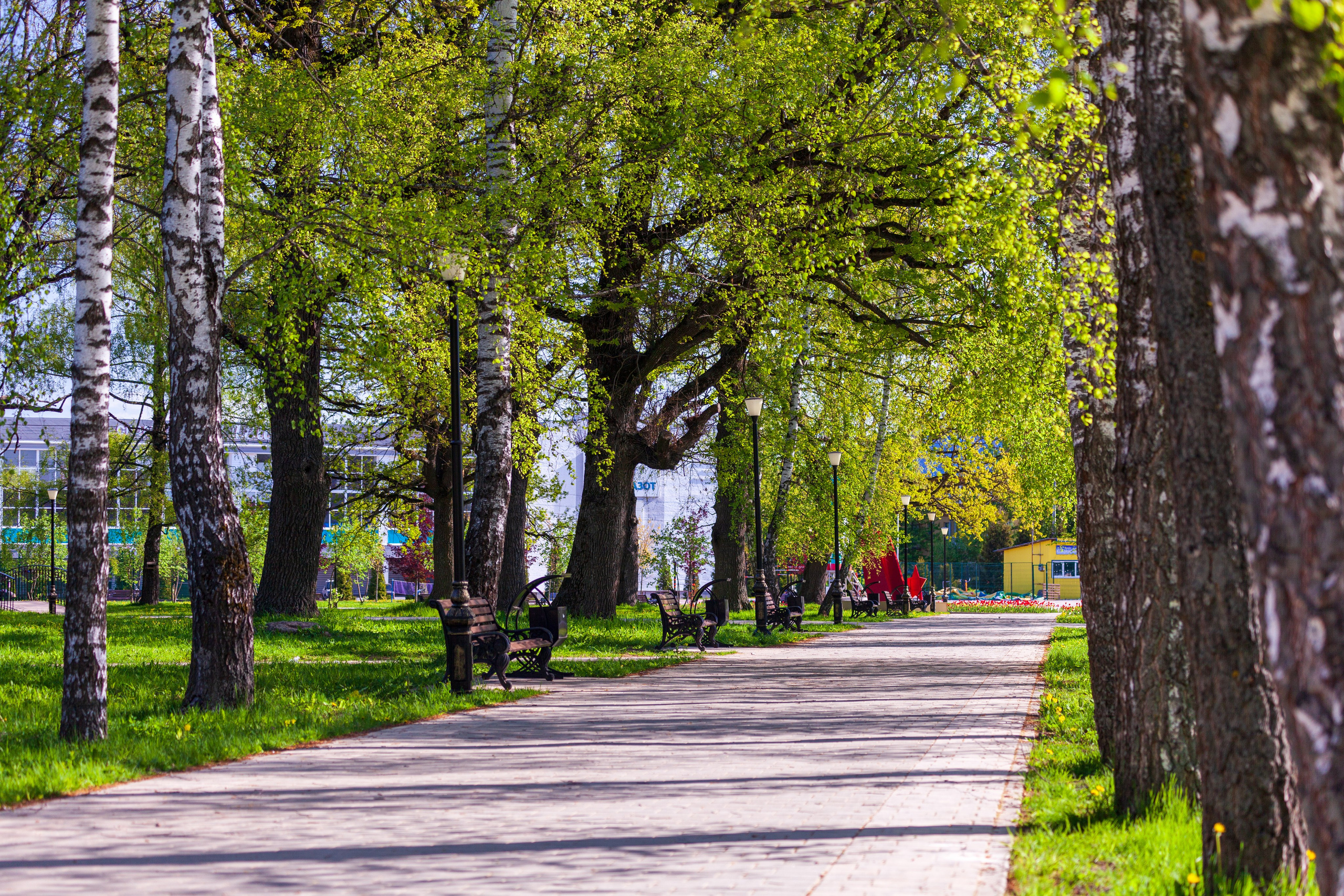 Тропинки детства. Фотохудожник Артём Парамонов