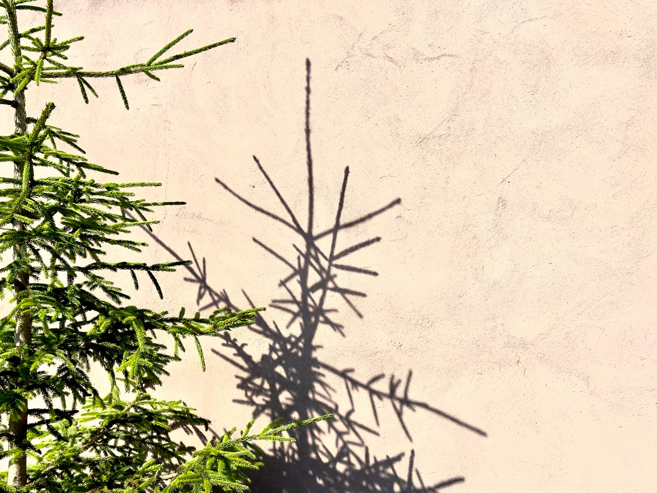 Флора и фауна. Смотри, красота!