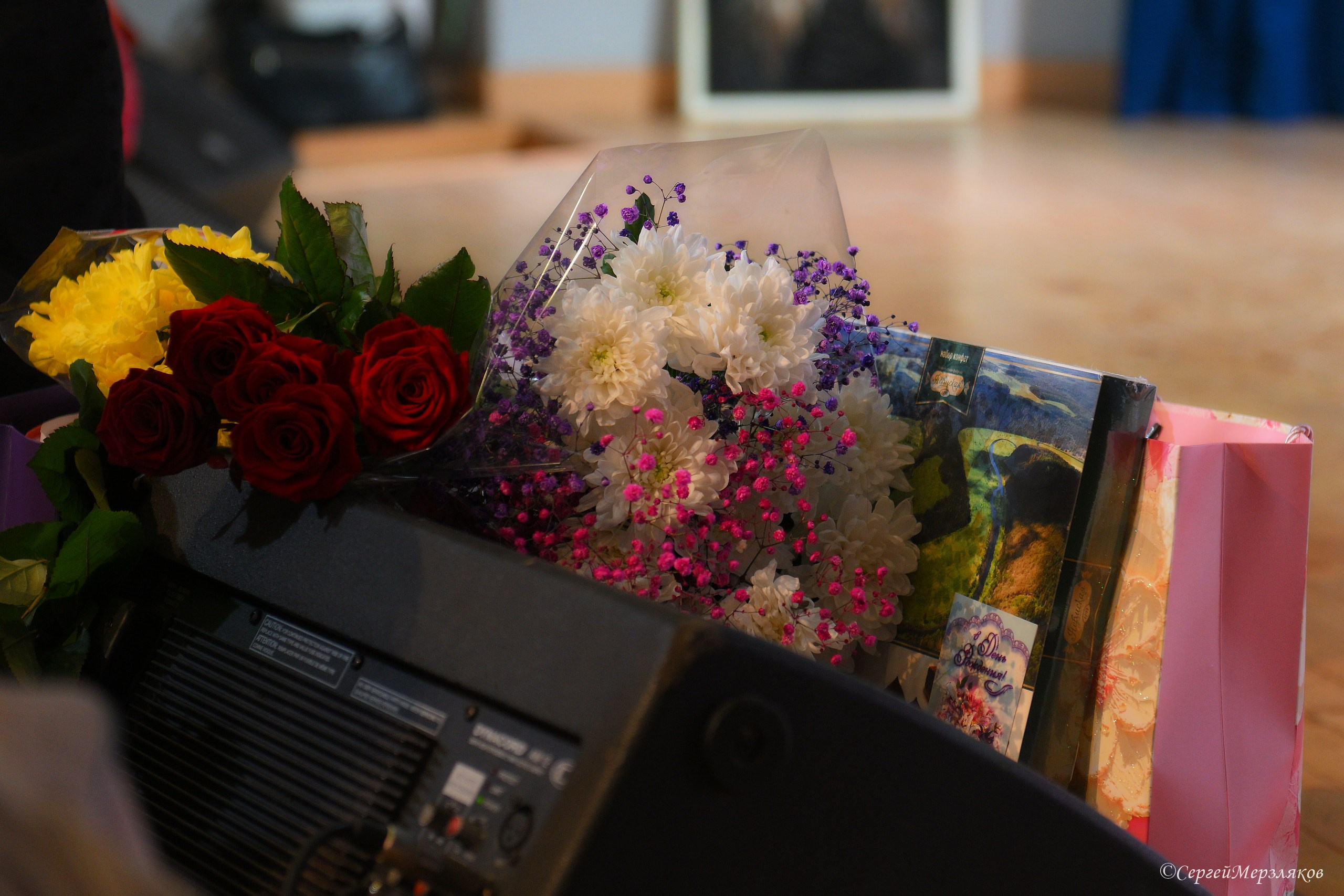 Концерт Марии Толстухиной. Ижевск 07.04.2024 ДК Строитель. Спортивный репортажный фотограф в Ижевске Сергей Мерзляков