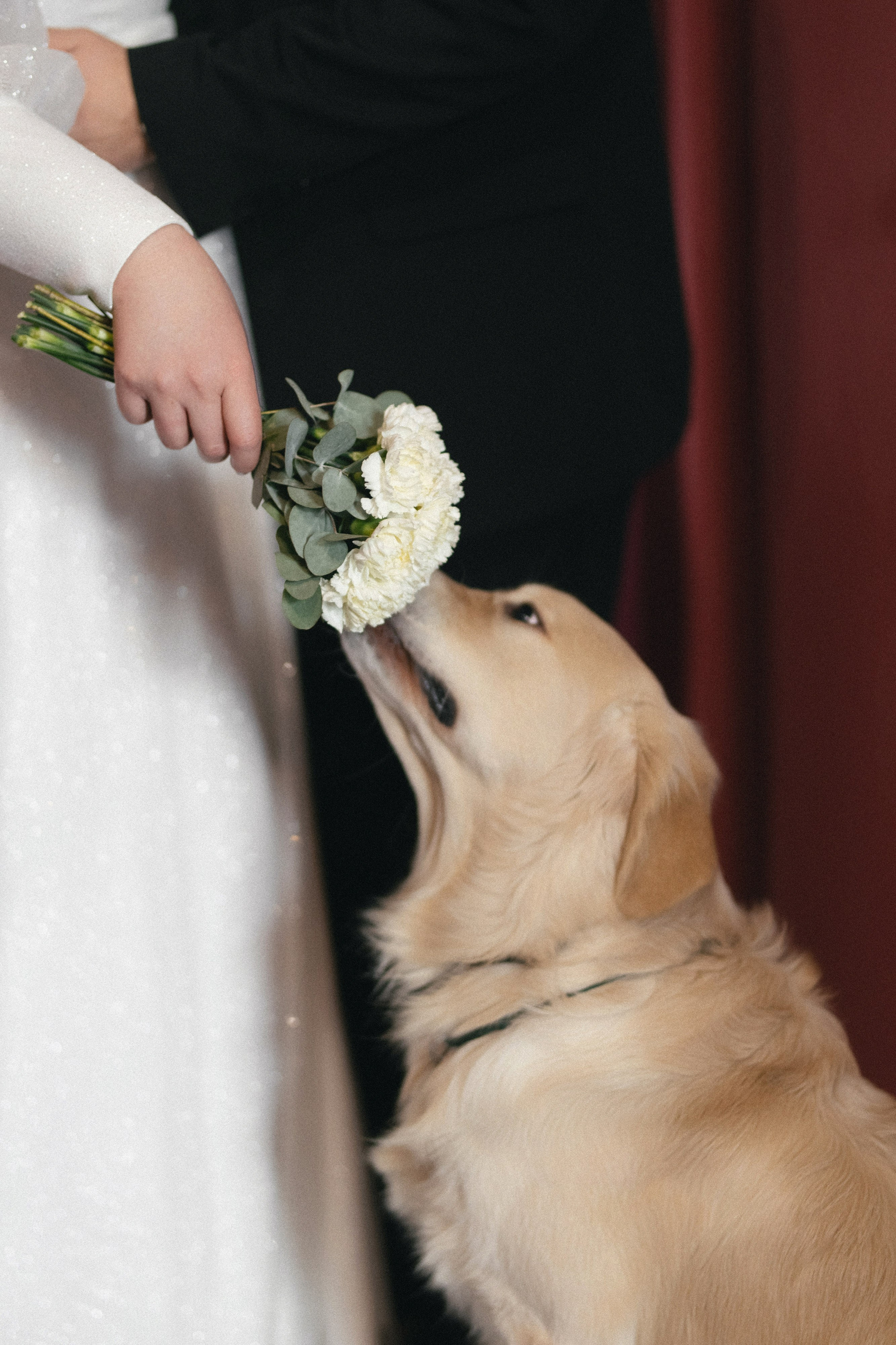 ЕКАТЕРИНА & ПАВЕЛ ` 25.01.25. Maria Startseva Photo