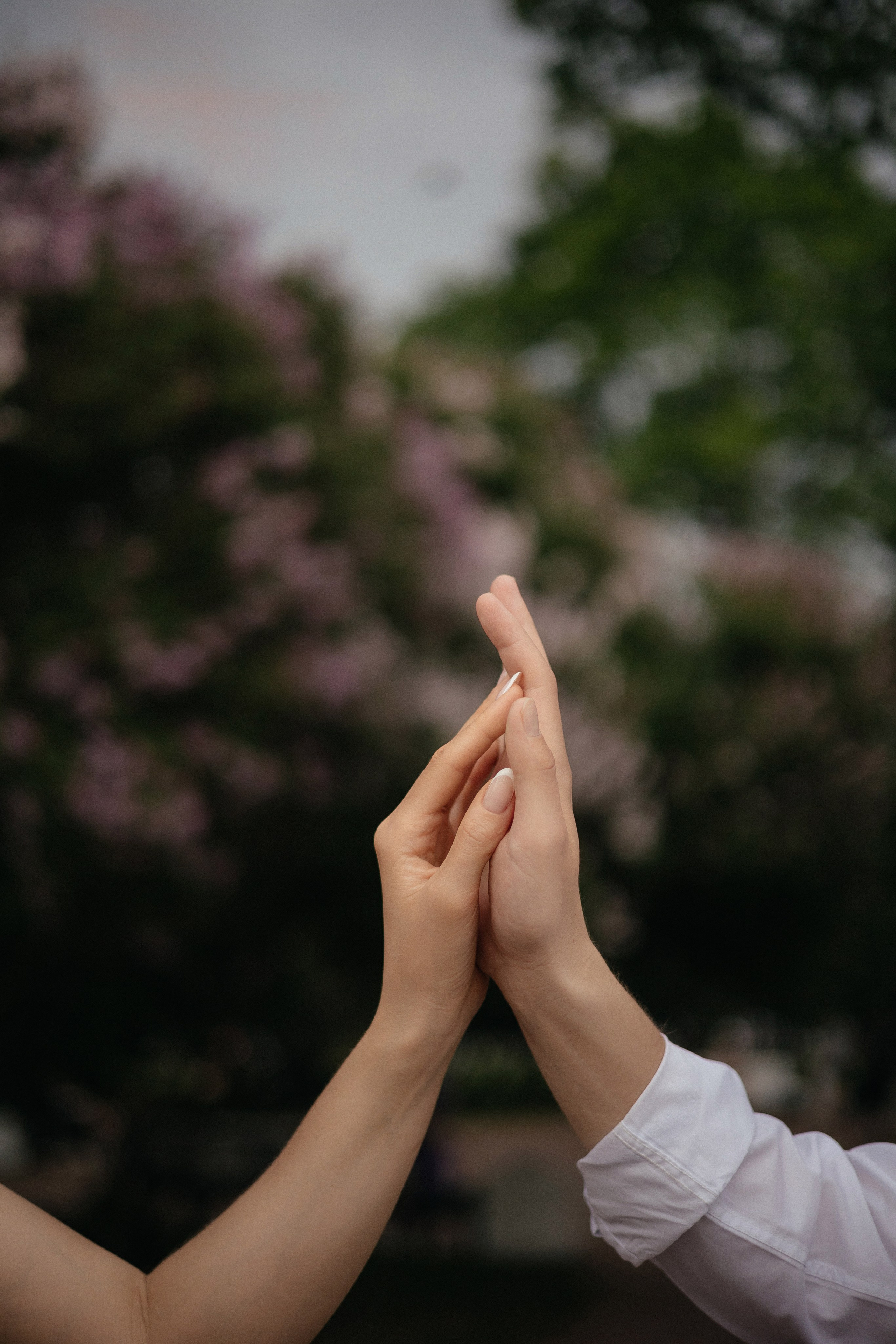 Александр & Алёна. ФОТОГРАФ РОЗА ФИЛИНА СПб I МОСКВА