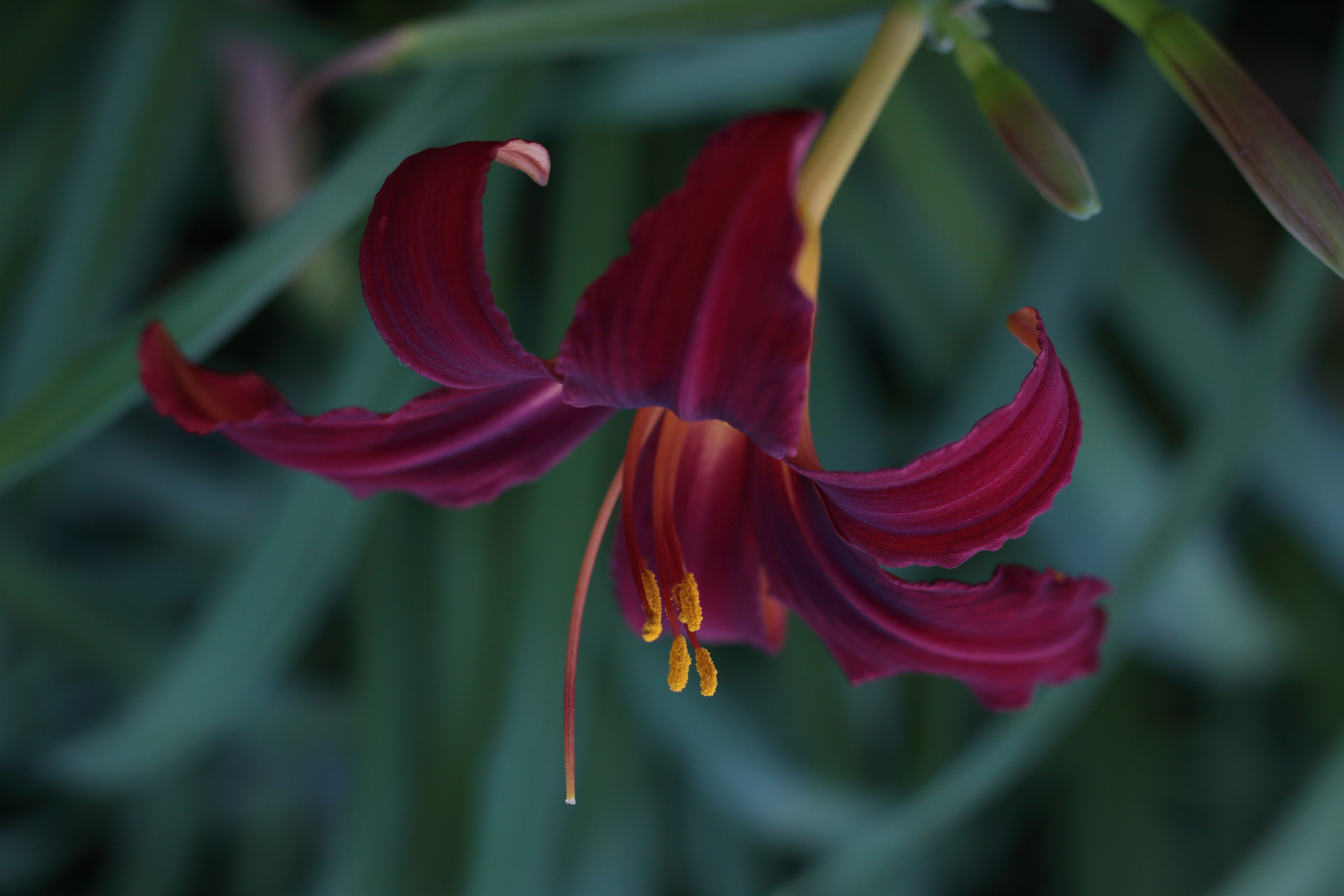 Старое природное, отбирала Katamount (Катерина Горохова). Главная