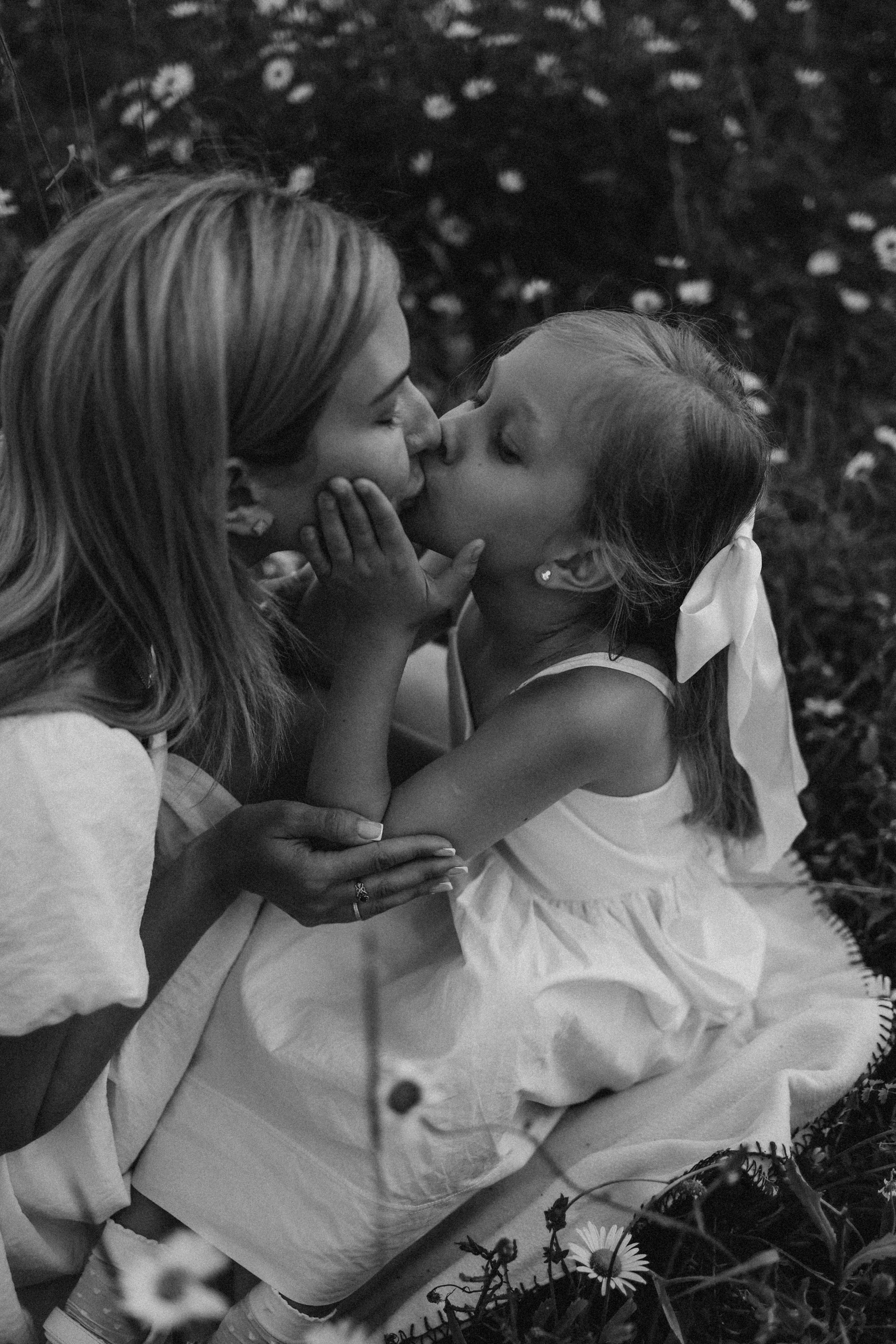 Ромашки. Фотограф Немазенко Ольга