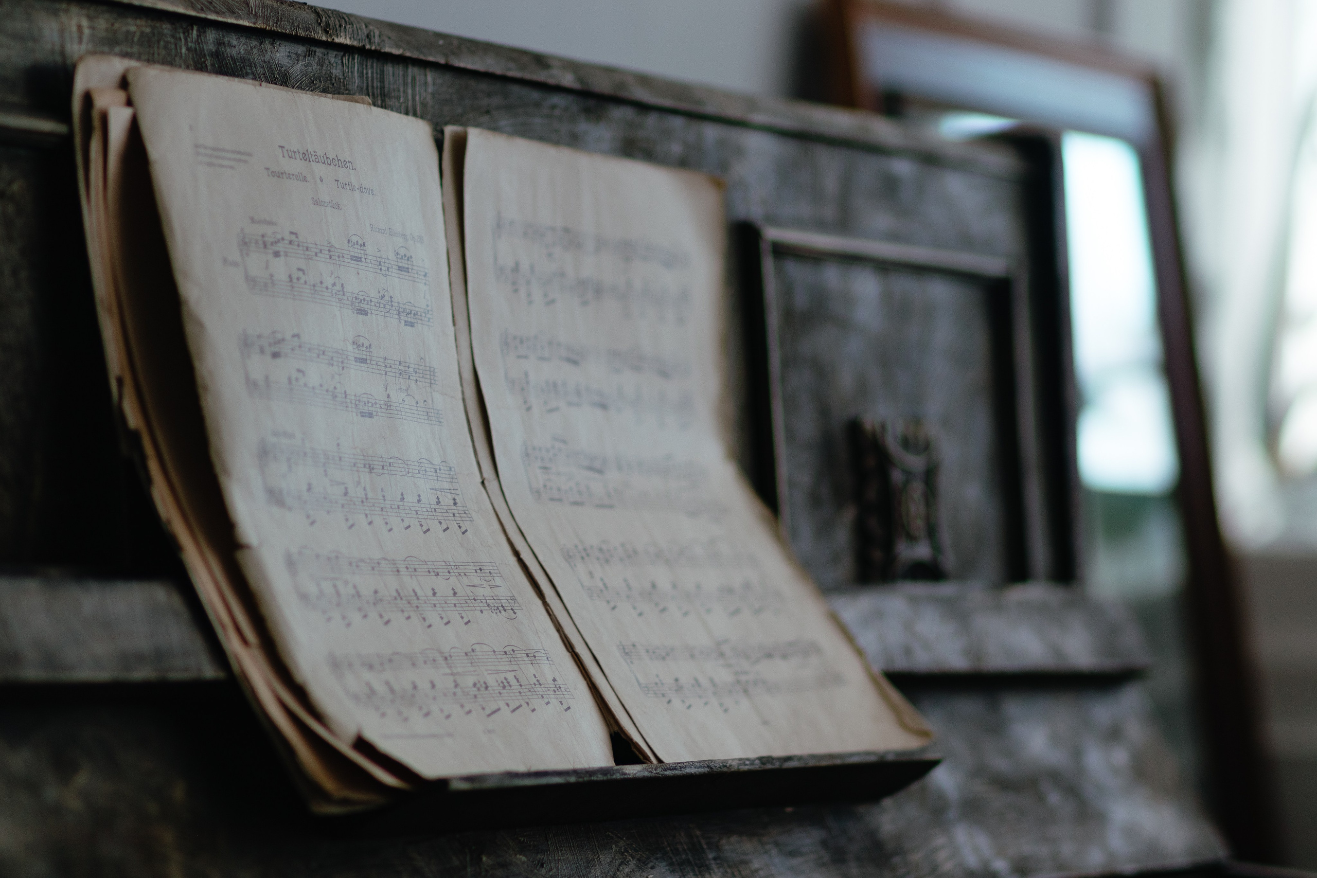 Трио Fiesta. Фотограф Екатерина Советкина Самара