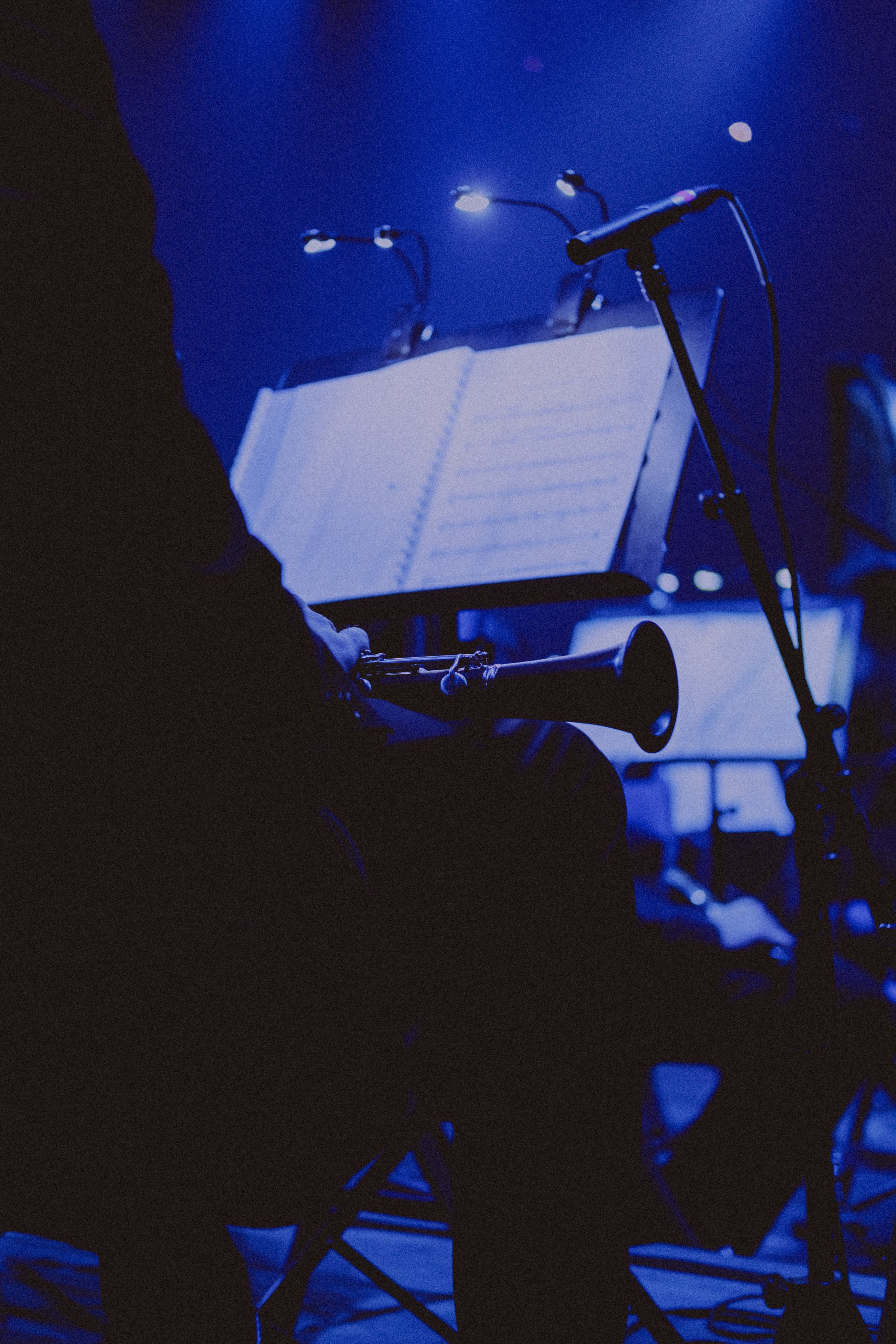 Cinema Medley Minsk Imperial Orchestra. Концертный фотограф в Санкт-Петербурге