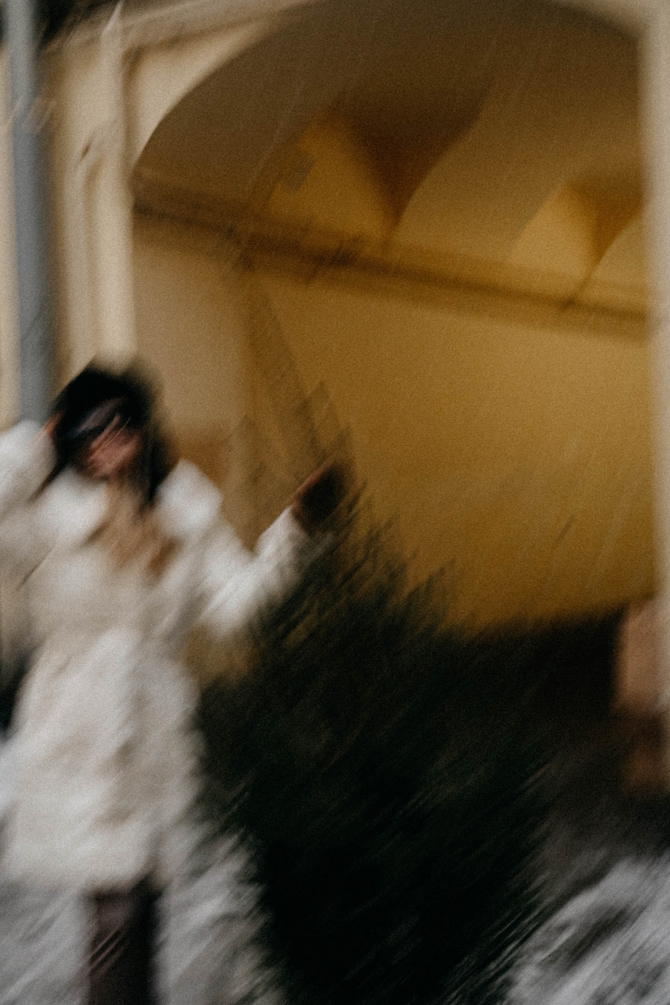 Новогодняя. Профессиональный фотограф, Санкт-Петербург — Виктория Богомолова